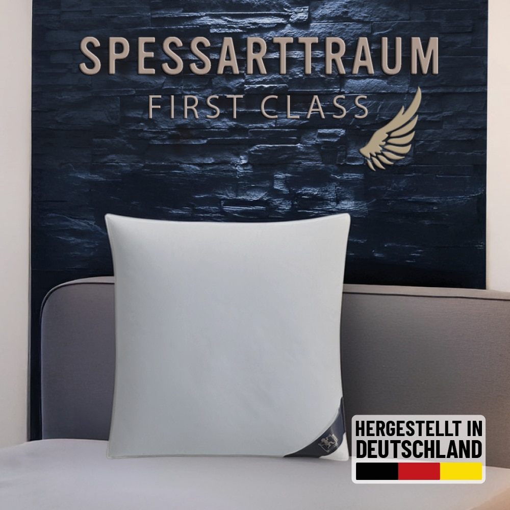 Daunenkissen SPESSARTTRAUM "FIRST CLASS", weiß, B:80cm L:80cm