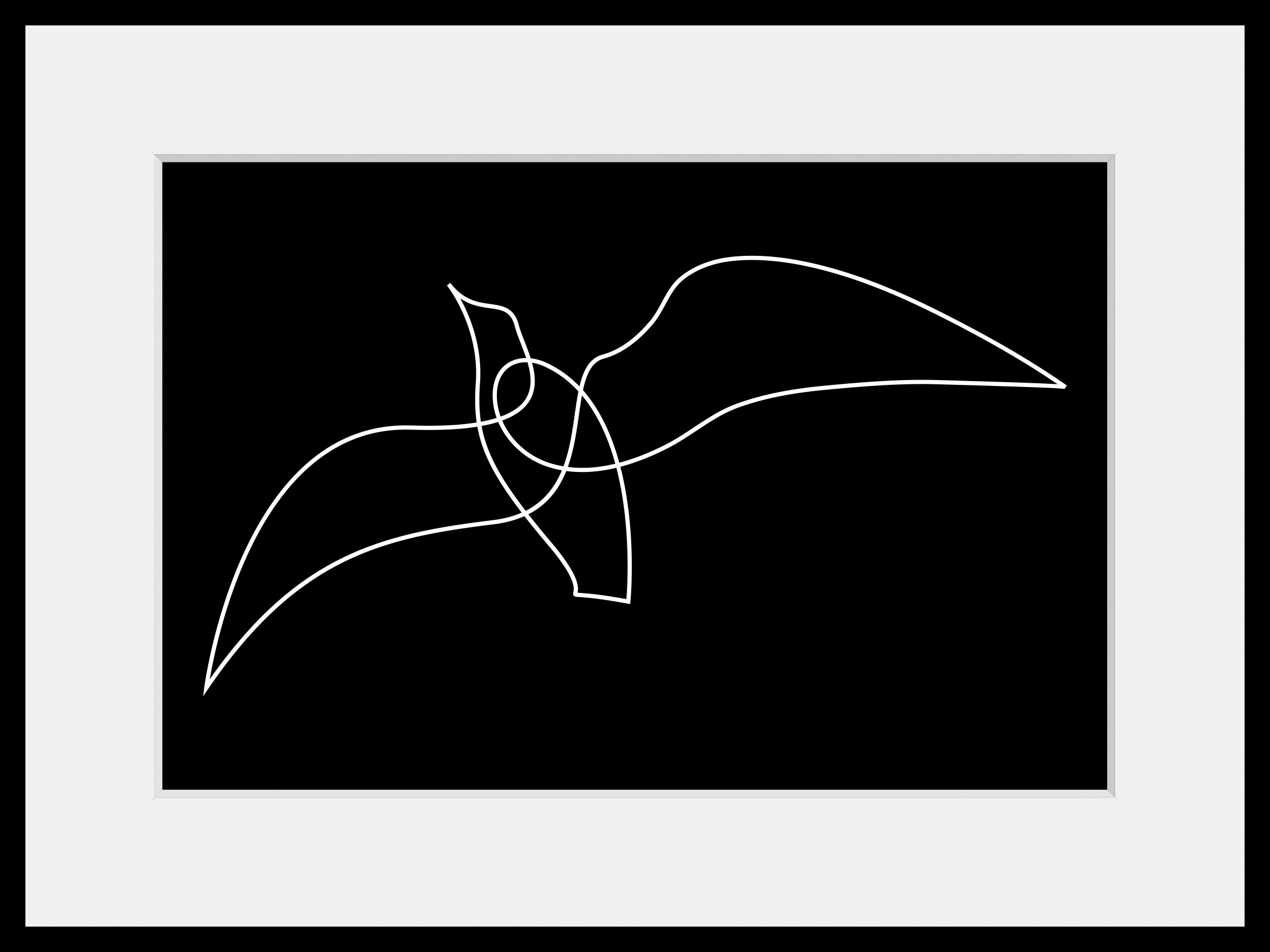 queence Bild »Marvin« Kunst | Papageien | Schwarz-Weiß | Vogelbilder | Vögel 1 Stk. tlg. HD Premium Poster-Druck inkl. Holzrahmen