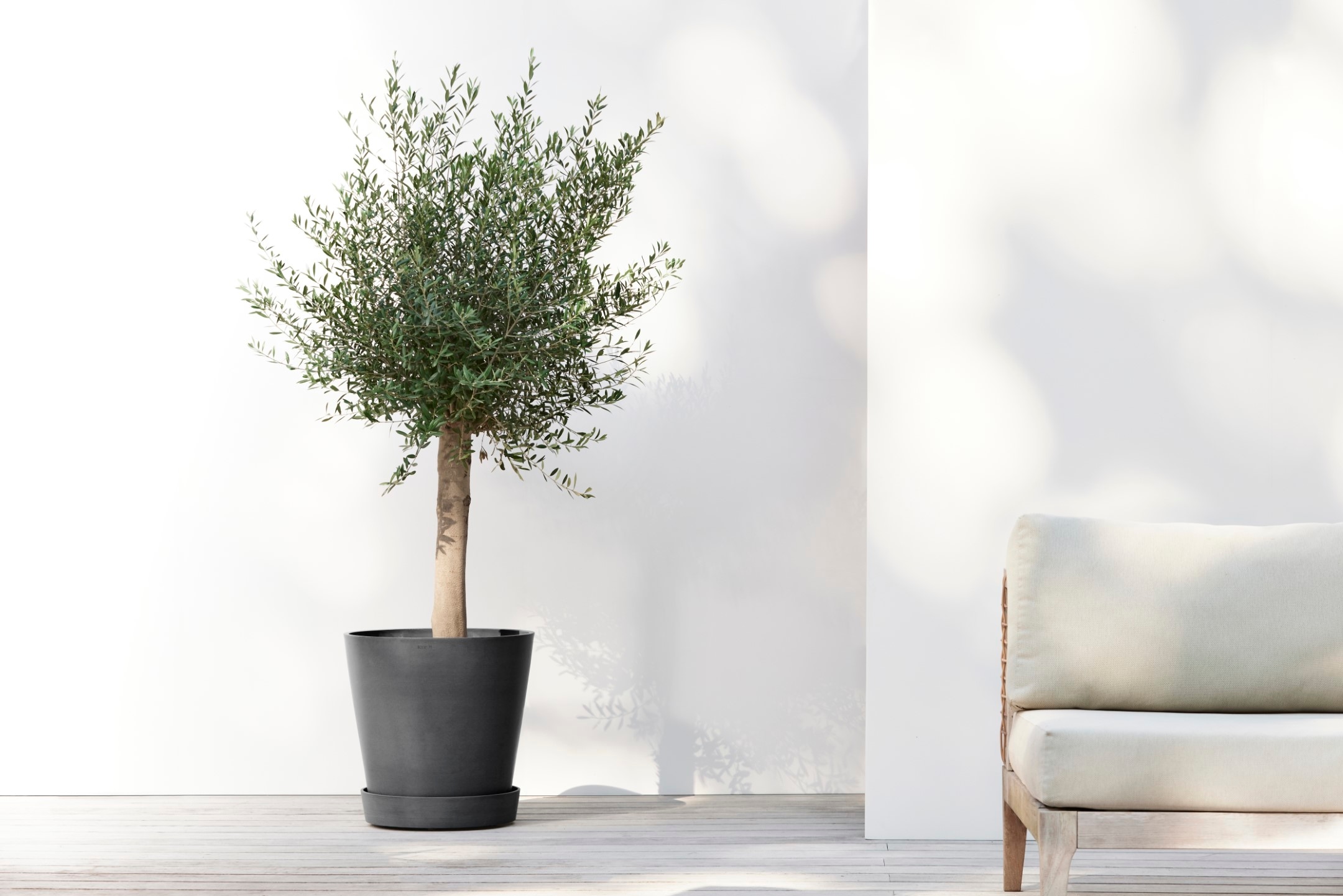 ECOPOTS Blumentopfuntersetzer »SAUCER WHEELS Dark Grey« BxTxH: 41,5x41,5x9 cm