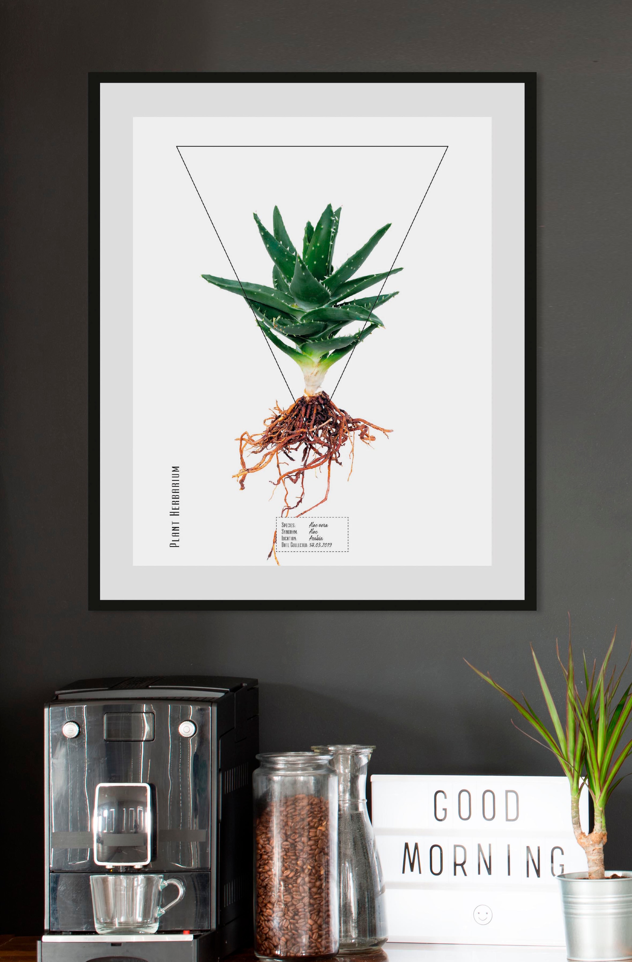 queence Bild »Aloe vera«, Rechnung (1 St.) bestellen auf
