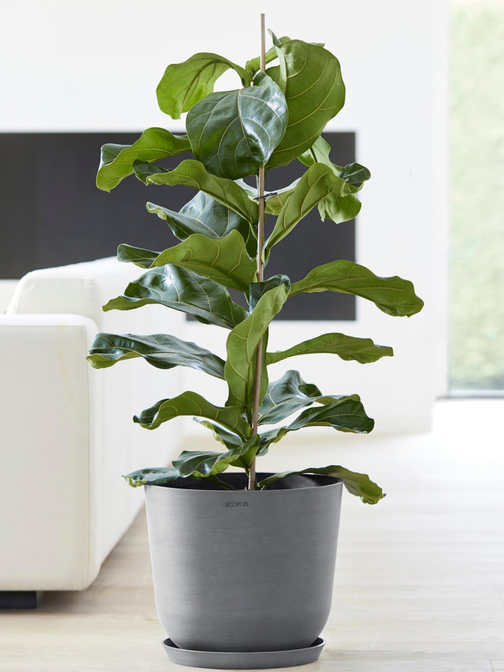 ECOPOTS Blumentopf »Oslo 35 + Wassersystem Grau«, für innen und außen: frostsicher, bruchsicher und lichtbeständig