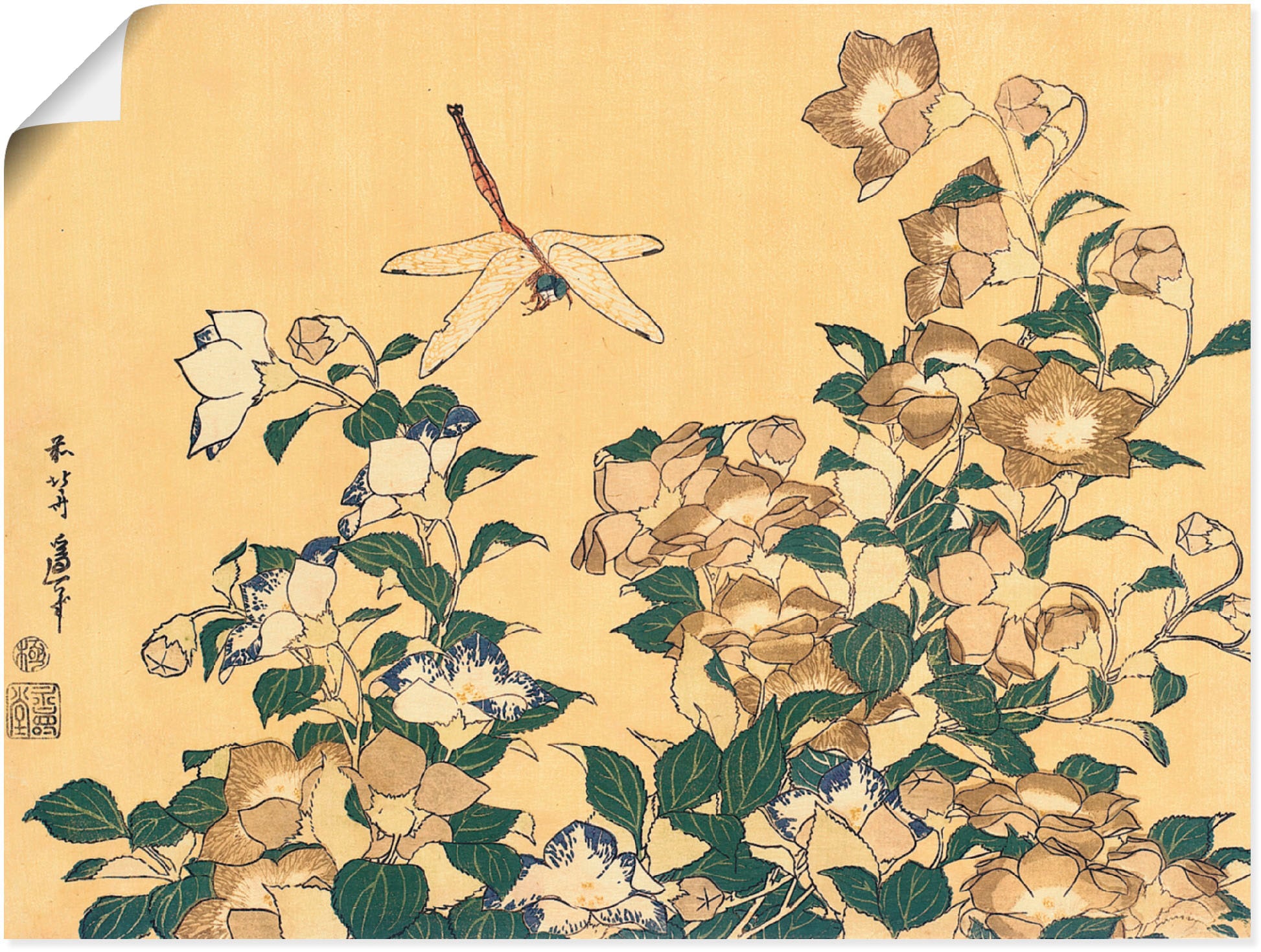 Artland Wandbild »Chinesische Glockenblume und Libelle«, Blumen, (1 St.), a günstig online kaufen