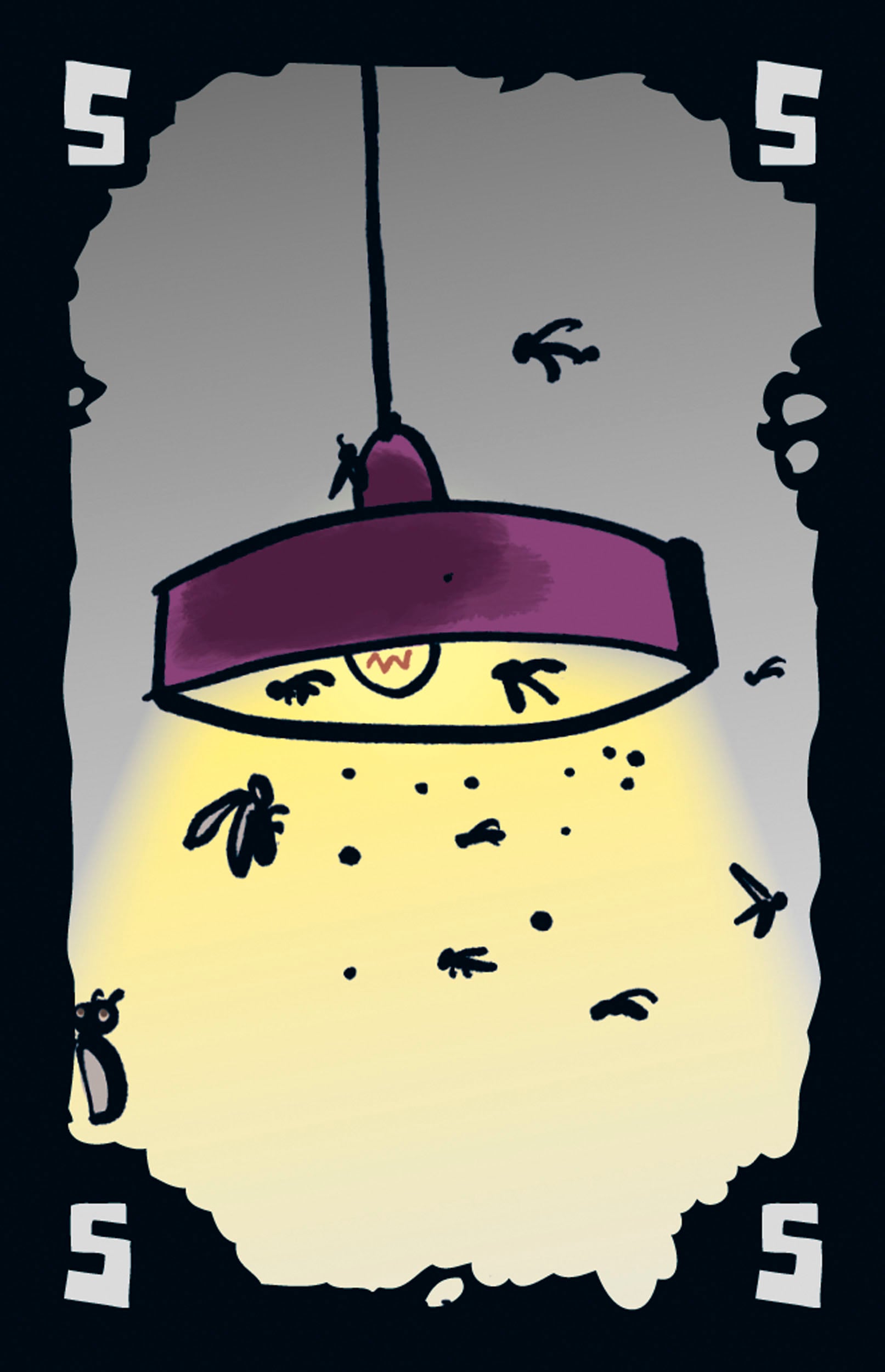 Drei Magier Spiele Spiel »Mogel Motte« Made in Germany