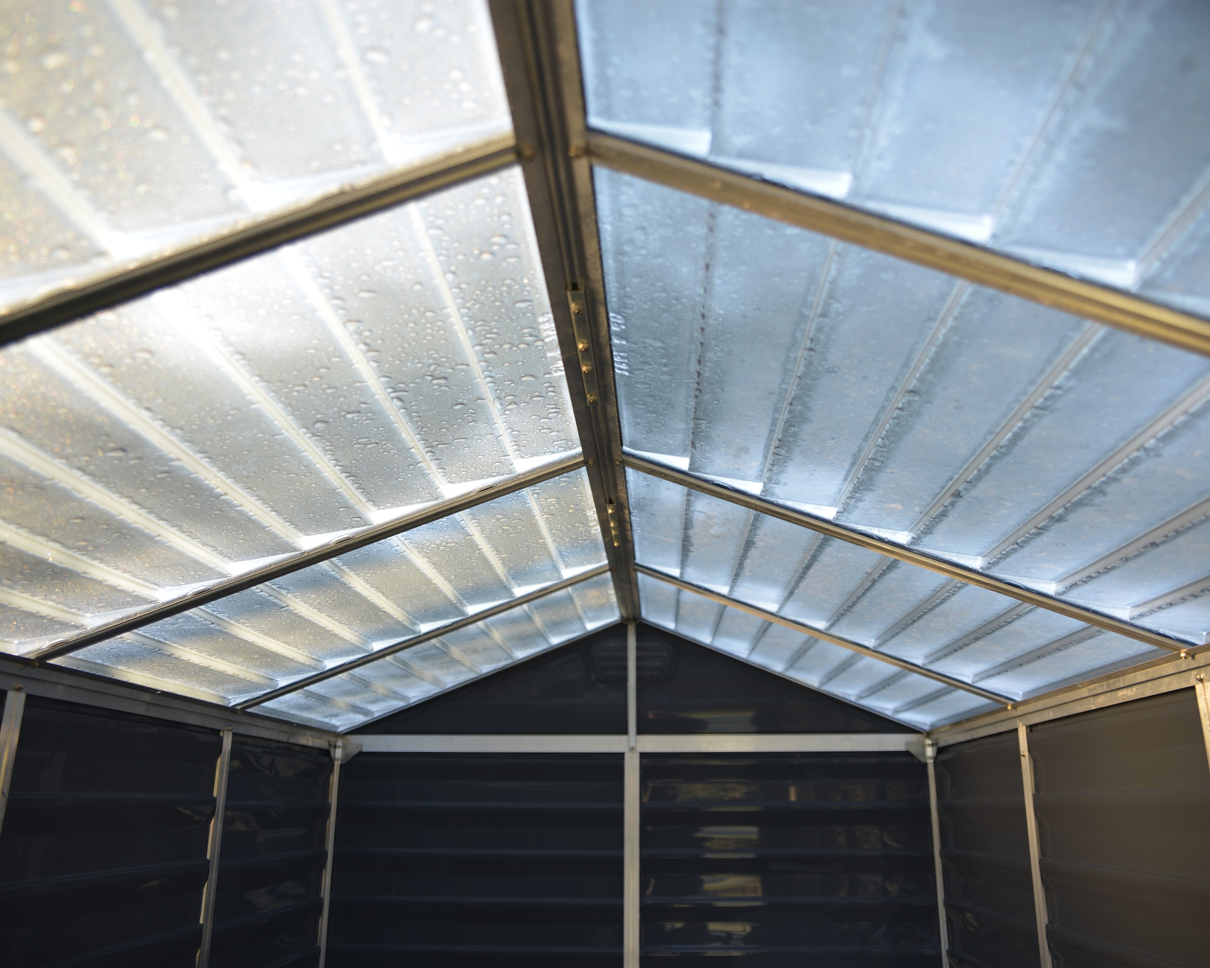Palram - Canopia Gerätehaus »Skylight«, mit lebenslang widerstandsfähigen Wandpaneelen
