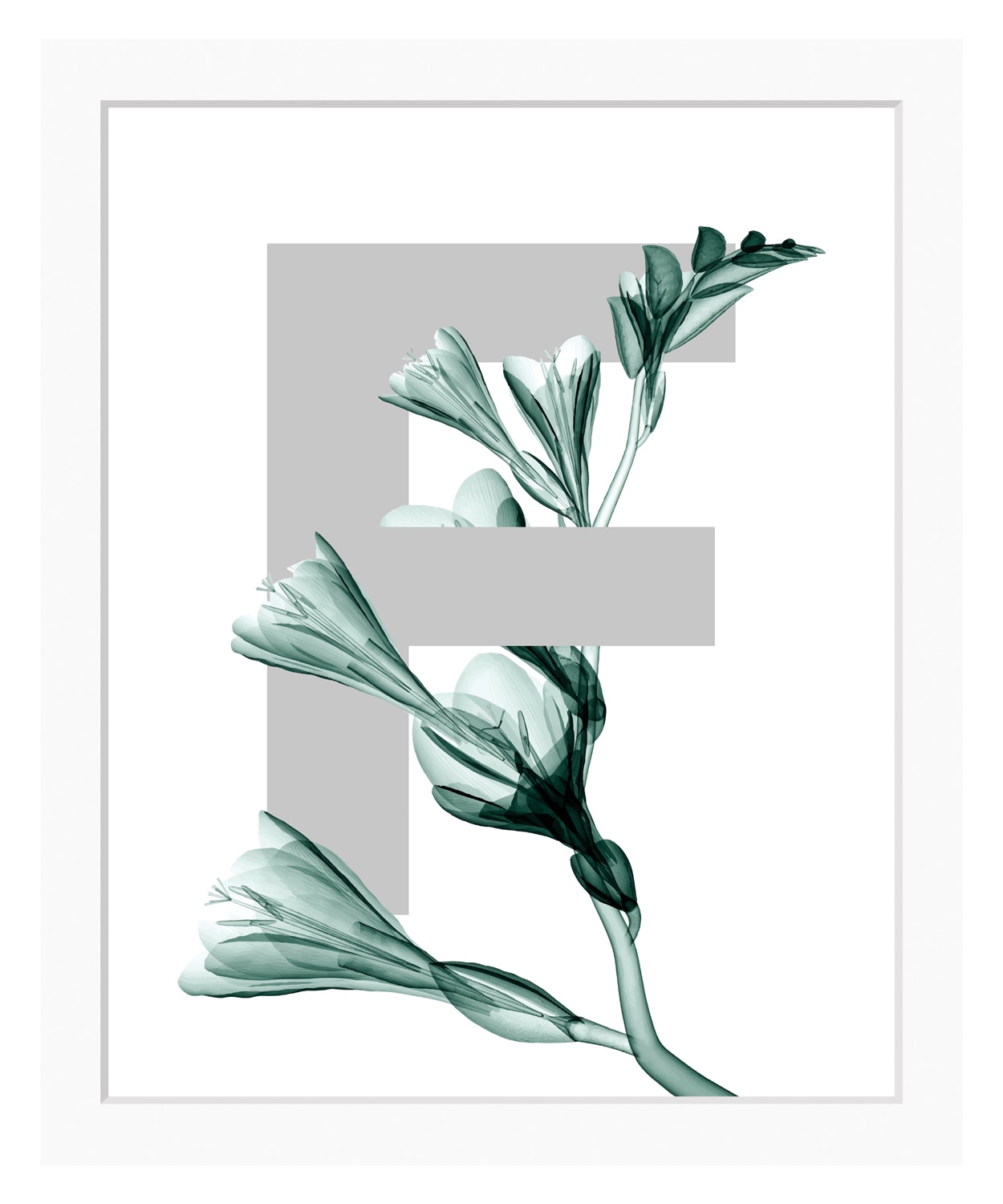 queence Bild »F-Flower«, Buchstaben, gerahmt, Blume, Blätter günstig online kaufen