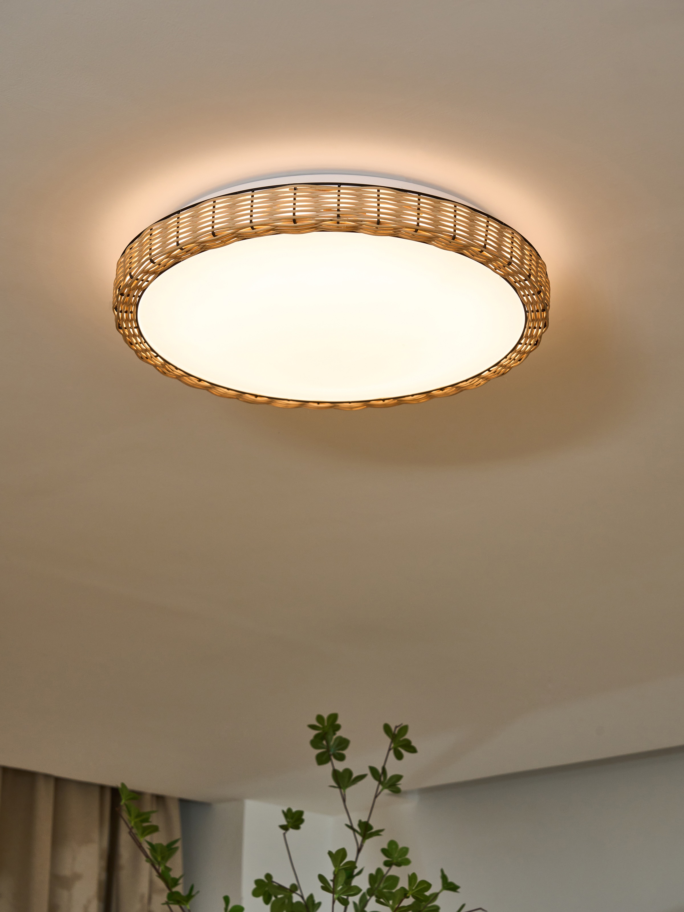 ECO-LIGHT LED Deckenleuchte »LED-Deckenleuchte MAY, D.43cm«, 1 flammig, Leu günstig online kaufen