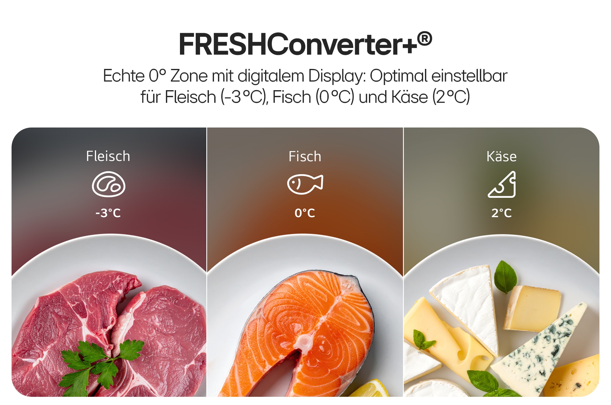 LG Kühl-/Gefrierkombination Serie 5 »GBBS525CEV« 203 cm hoch 59,7 cm breit Total No Frost, ThinQ mit AI Fresh & Saving Mode