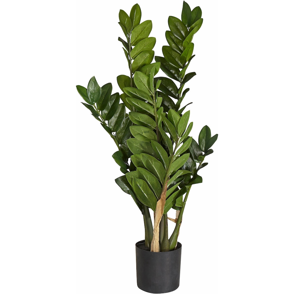 Creativ green Kunstpflanze »Zamifolia«