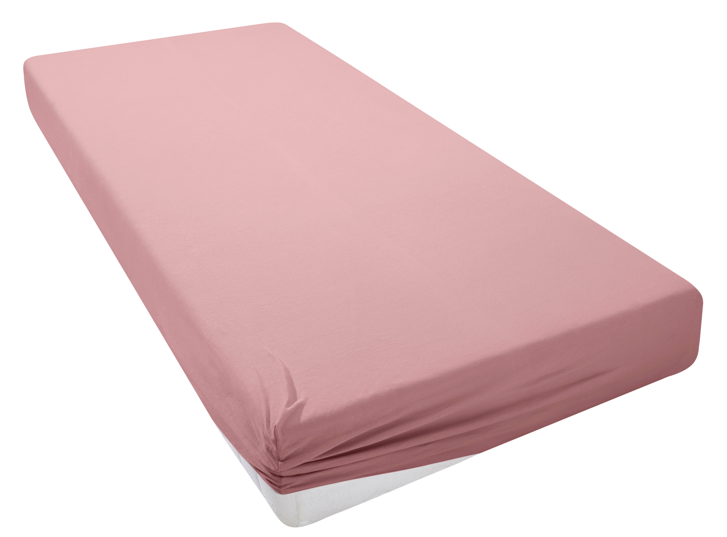 my home Spannbettlaken "PHYSALIS" Baumwolle, Matratzen bis 18 cm Höhe, Bett günstig online kaufen