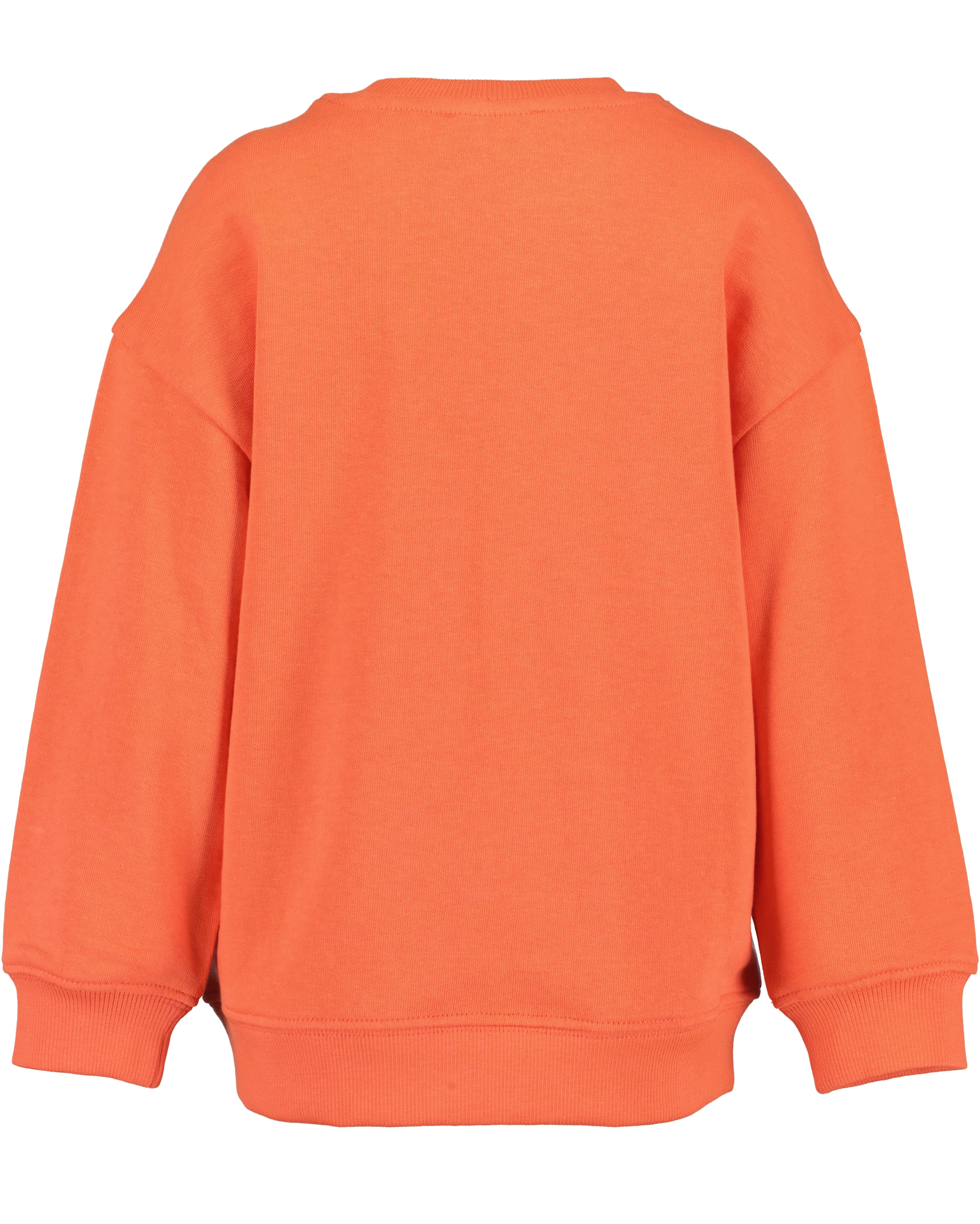 Blue Seven Sweatshirt
