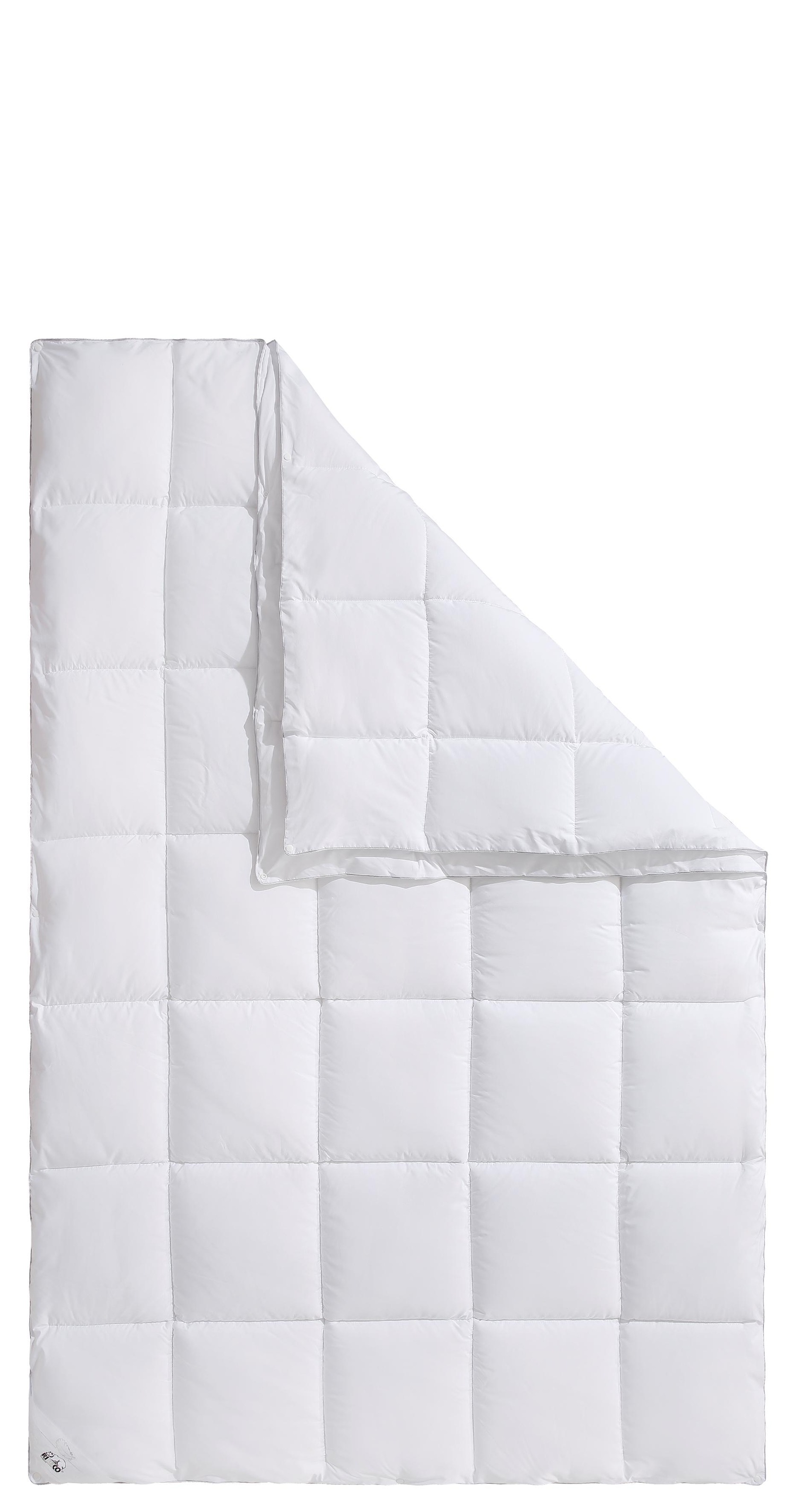 RIBECO Kunstfaserbettdecke »Isabel« 4-Jahreszeiten 1 Stk. tlg. günstig online kaufen