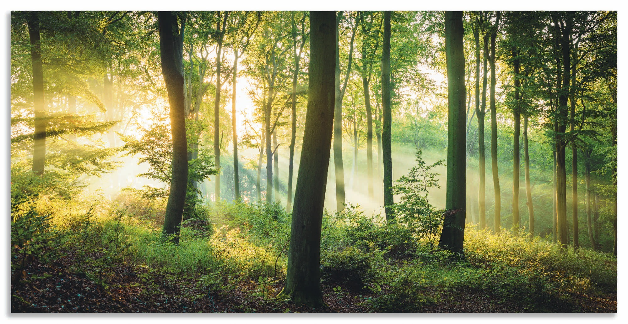 Artland Wandbild »Herbst im Wald II«, Waldbilder, (1 St.), als Alubild, Out günstig online kaufen