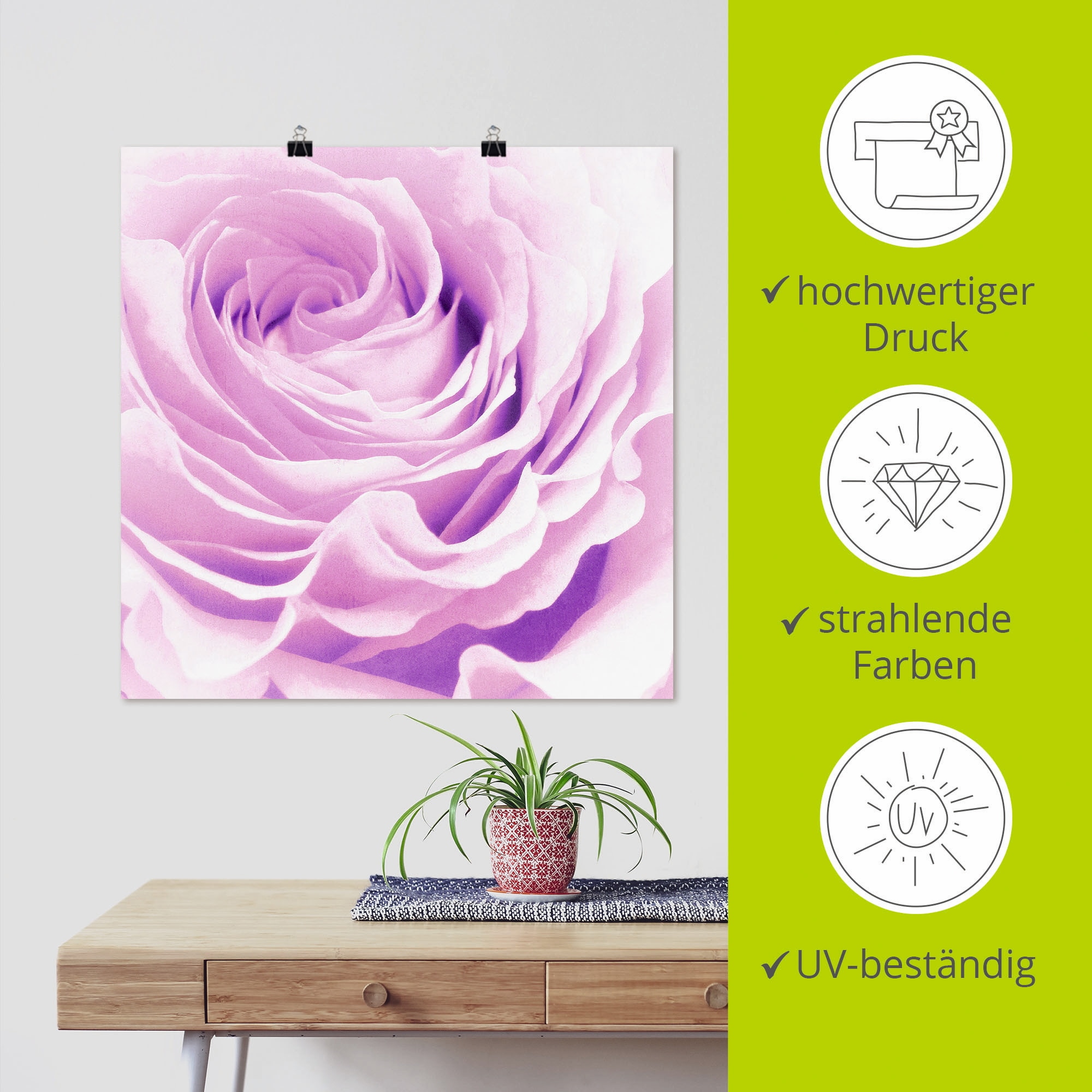 Artland Wandbild »Pastell Rose«, Blumen, (1 St.), als Leinwandbild, Poster, Wandaufkleber in verschied. Größen