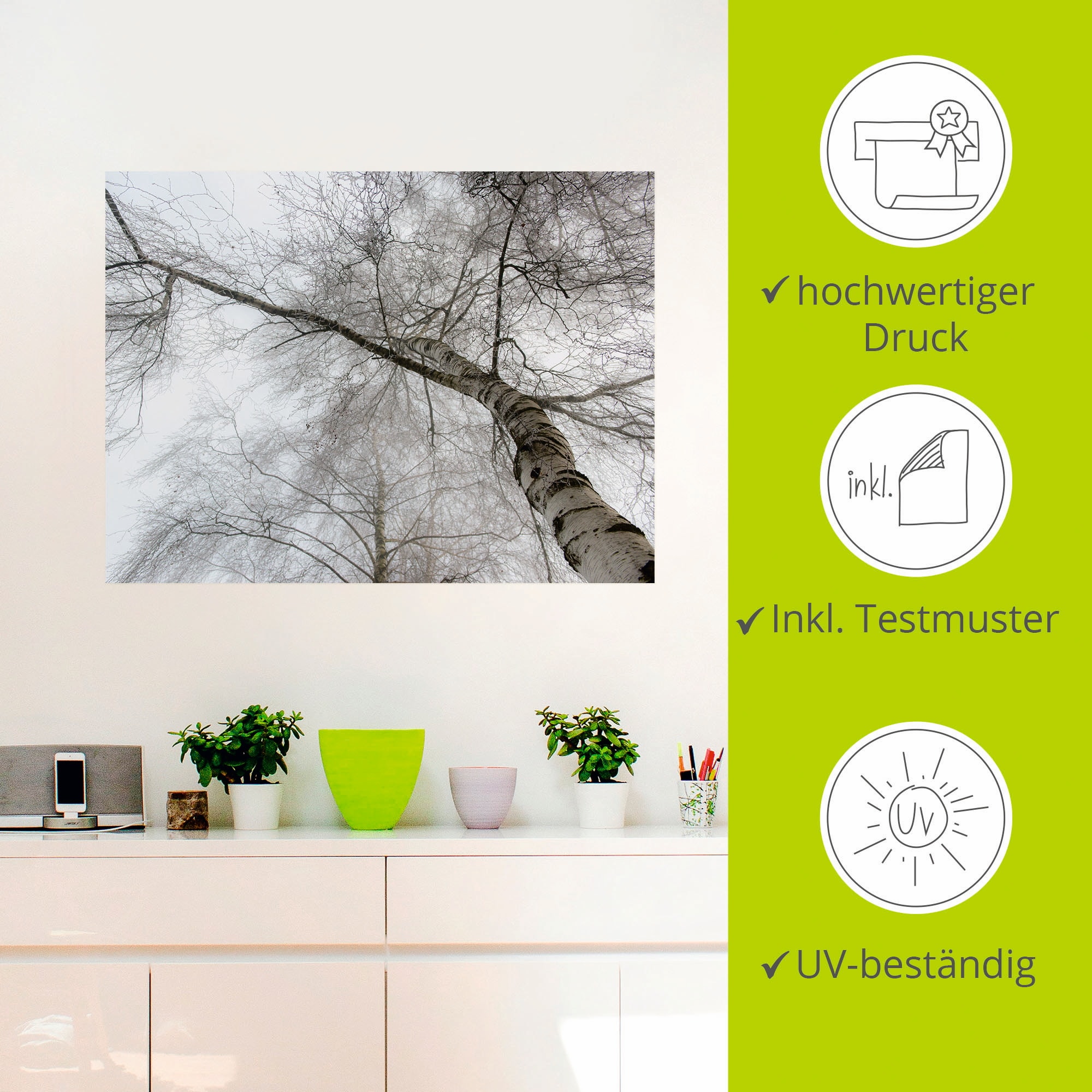 Artland Wandbild »Winter Birke«, Bäume, (1 St.), als Leinwandbild, Wandaufkleber in verschied. Größen