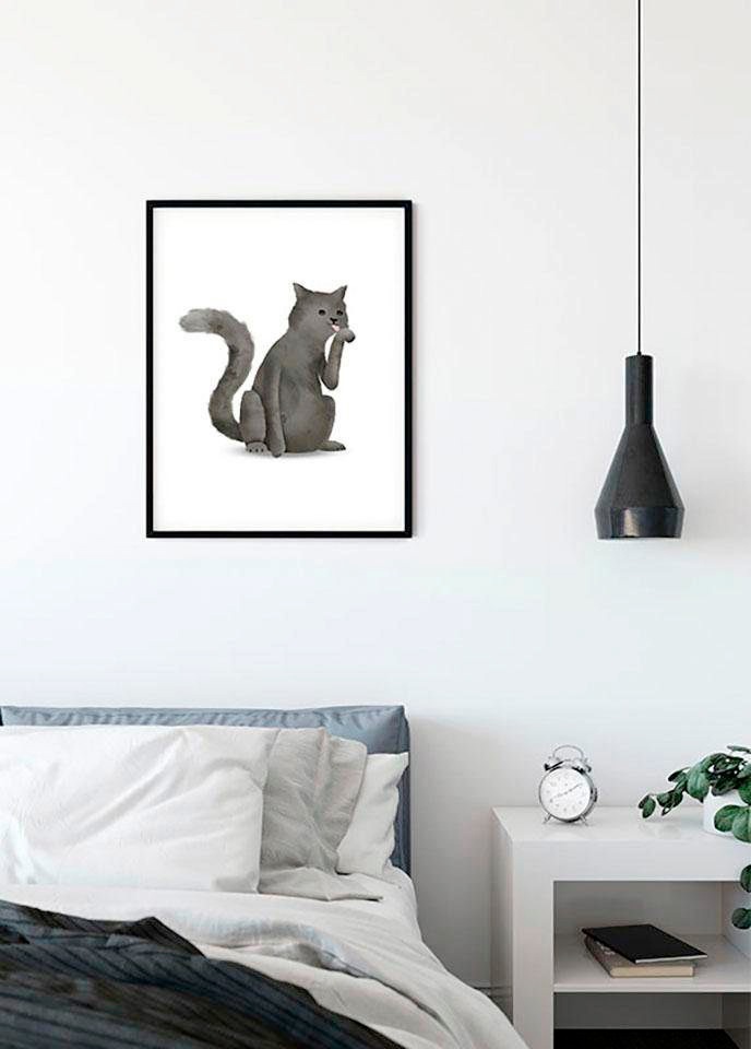 Komar Bild »Cute Animal Cat«, Tiere, (1 St.), Wandbild zur Dekoration - ohne Rahmen