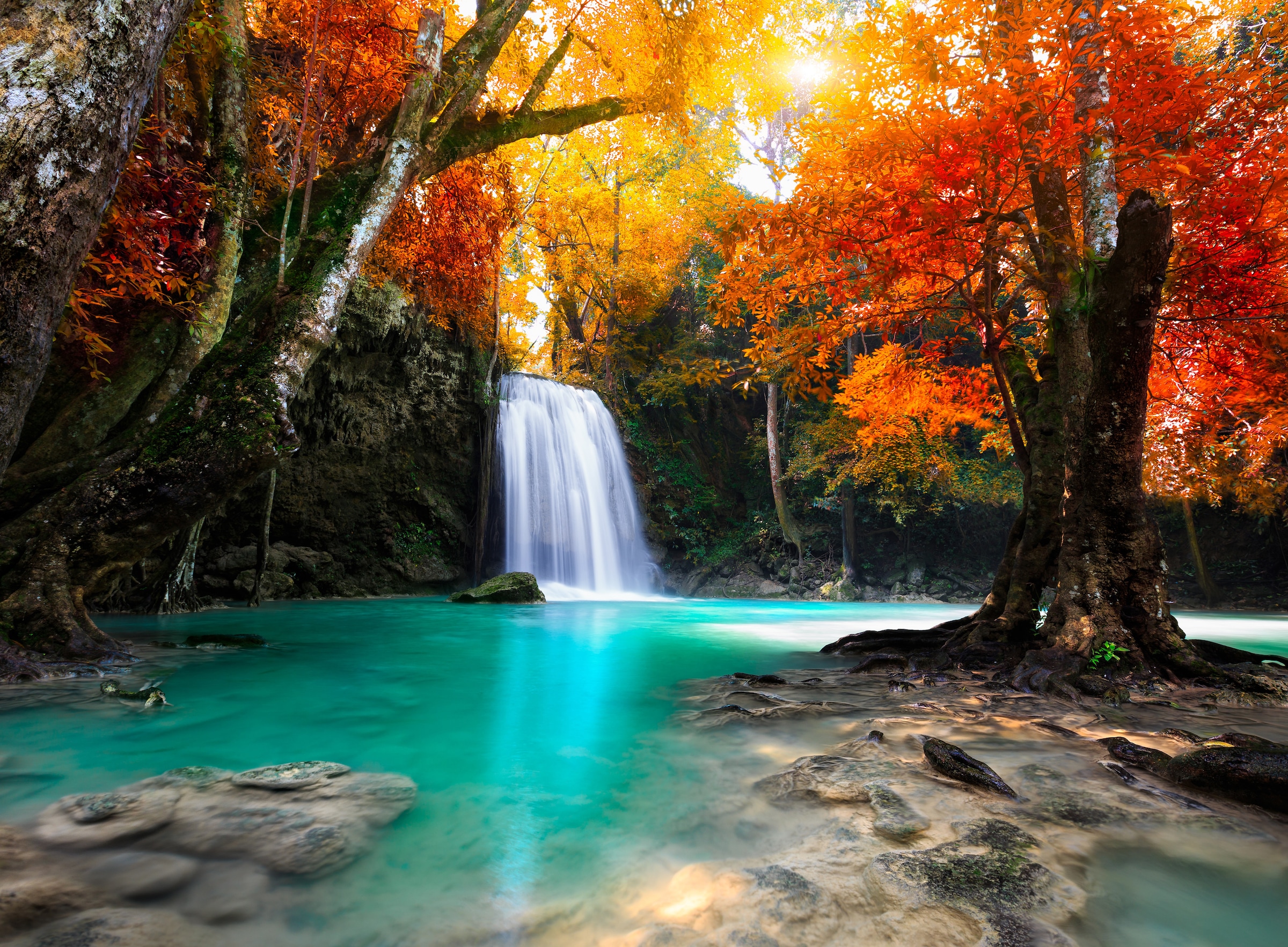 Papermoon Fototapete »Deep Forest Waterfall« glatt günstig online kaufen
