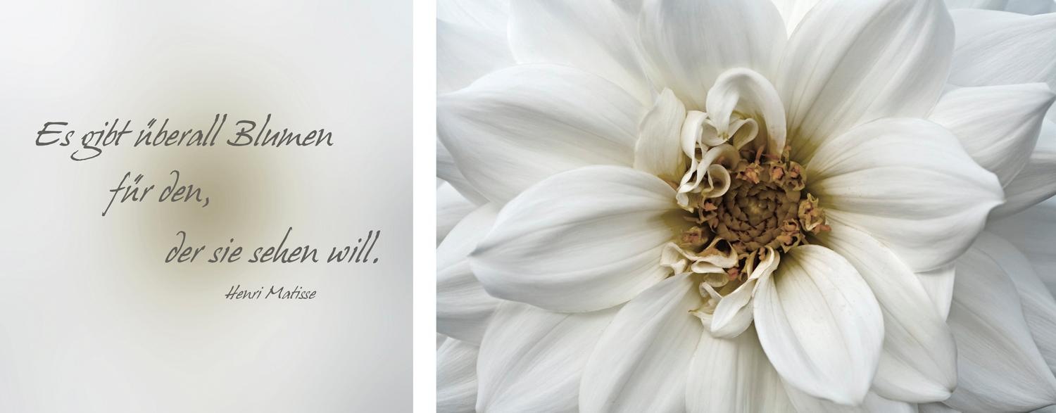 queence Leinwandbild »Blumen«, Blumen-Blumenbilder-Kunst-Modern-Spa-Spa Bil günstig online kaufen