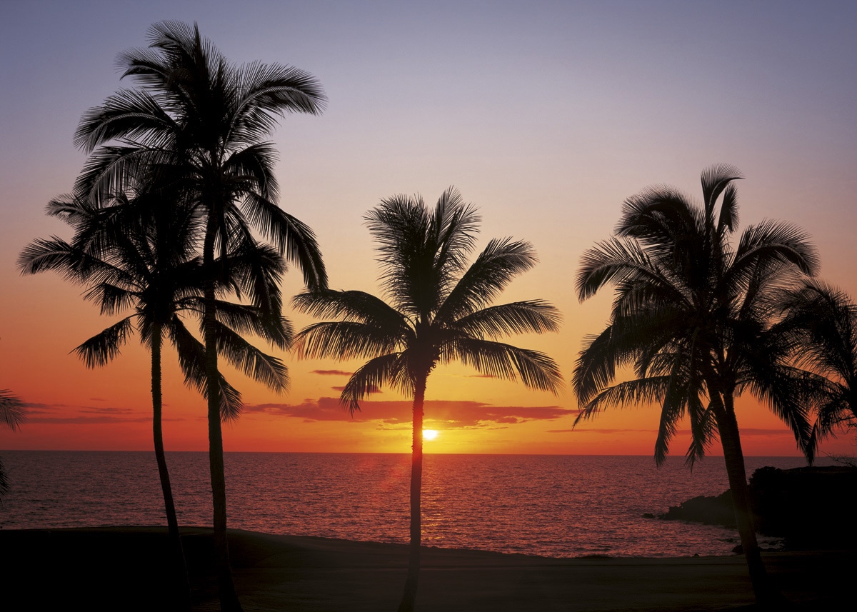 Komar Fototapete »Papier Fototapete - Hawaii - Größe 368 x 254 cm« Motiv | bedruckt glatt