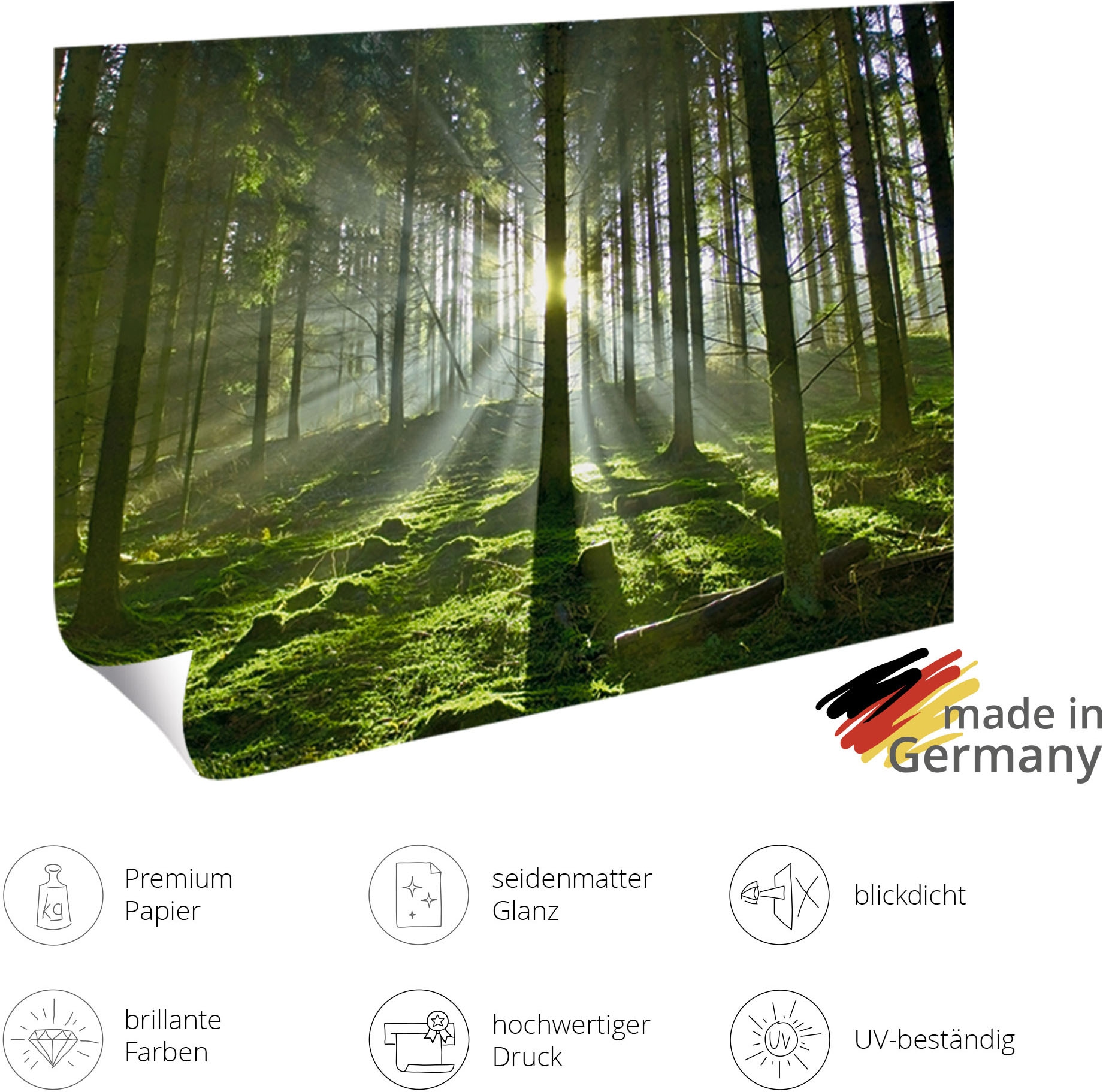 Artland Wandbild »Bali« 1 Stk. tlg. als Alubild, Leinwandbild, Poster, Wandaufkleber in verschied. Größen