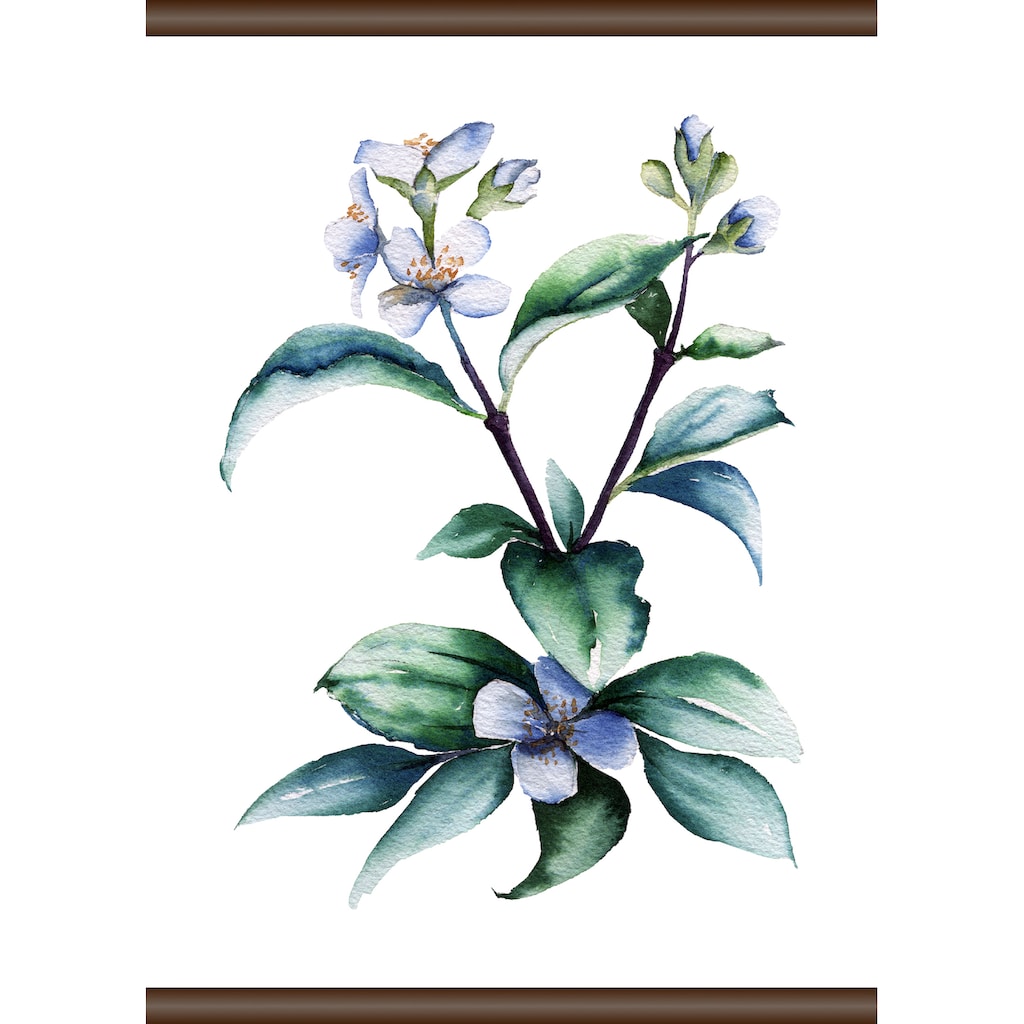 queence Leinwandbild »Lila Pflanze«