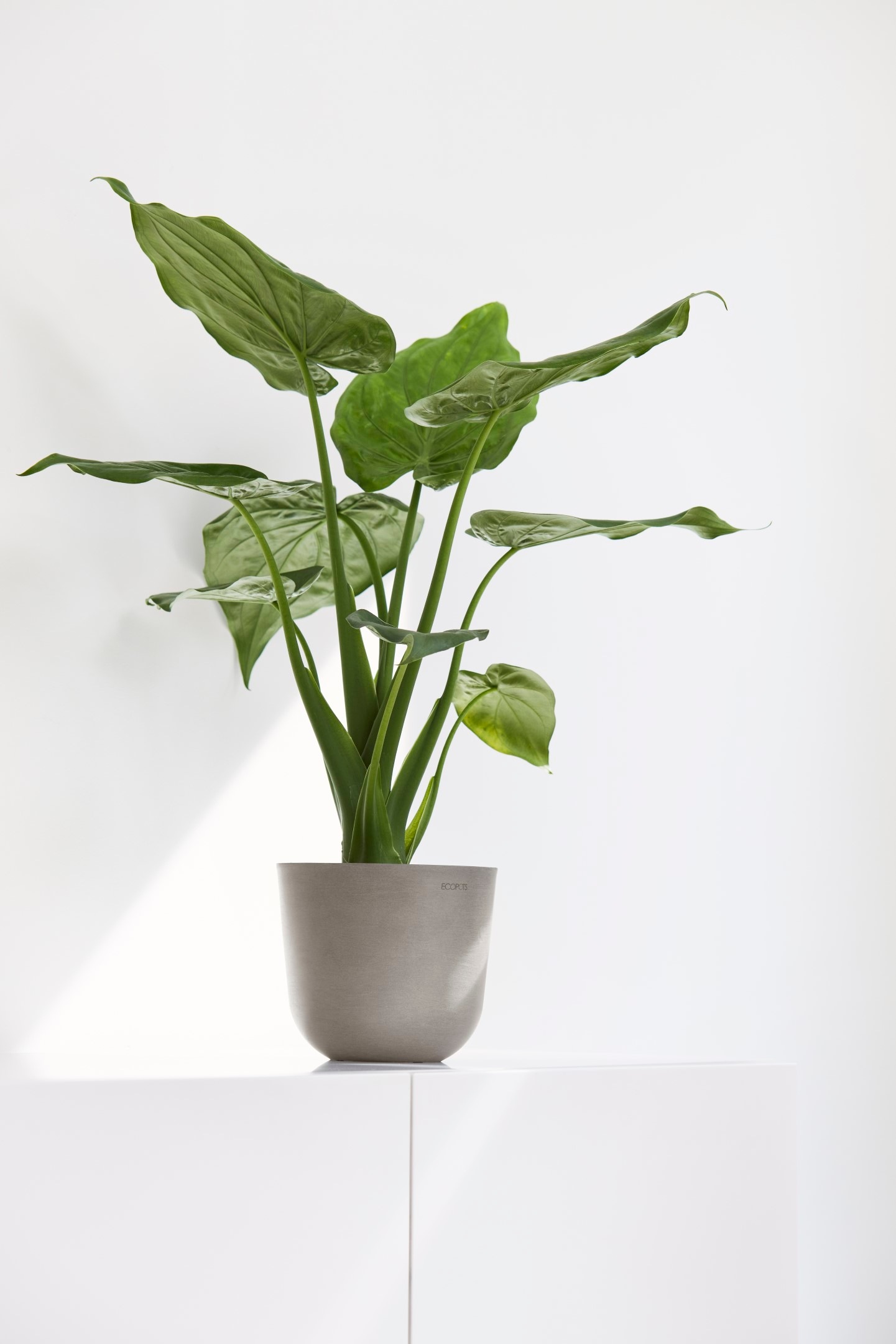 ECOPOTS Blumentopf »Oslo Mini 16 Taupe« für den Innenbereich