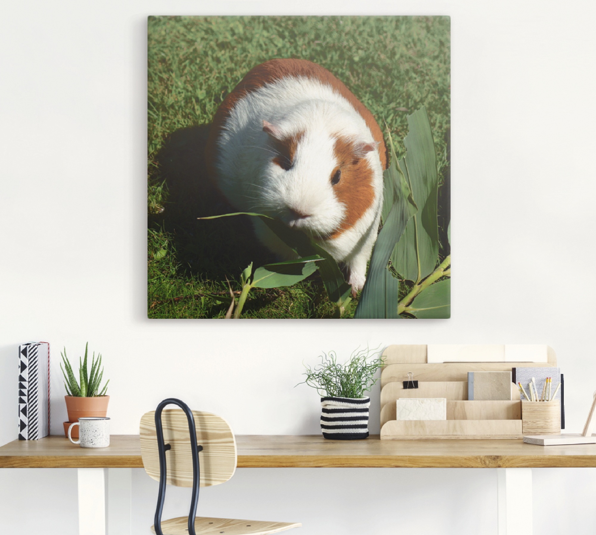 Artland Wandbild »Orange weißes Meerschweinchen«, Haustiere, (1 St.), als Alubild, Outdoorbild, Leinwandbild in verschied. Größen