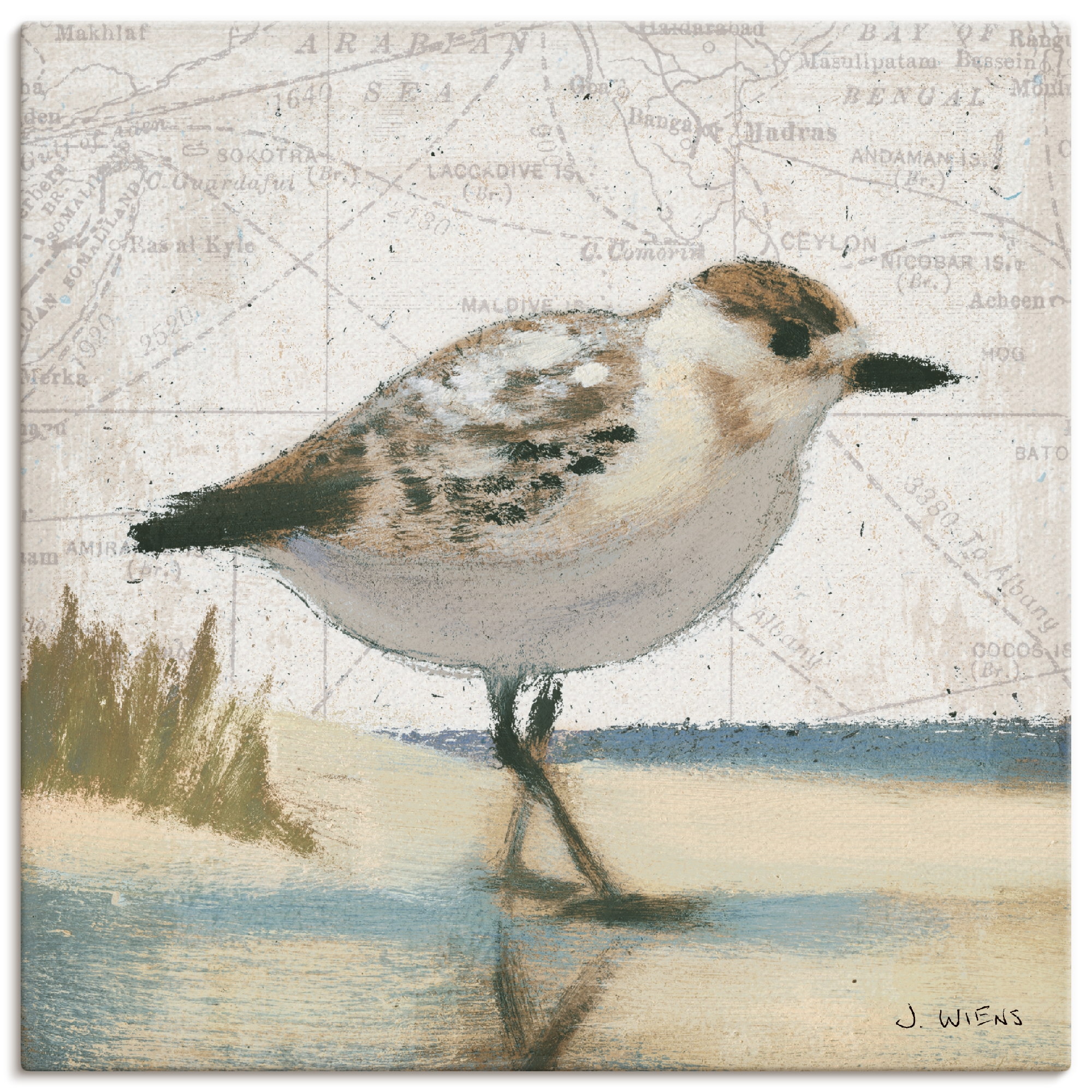 Artland Wandbild »Möwe I« Vögel 1 Stk. tlg. als Leinwandbild, Wandaufkleber günstig online kaufen