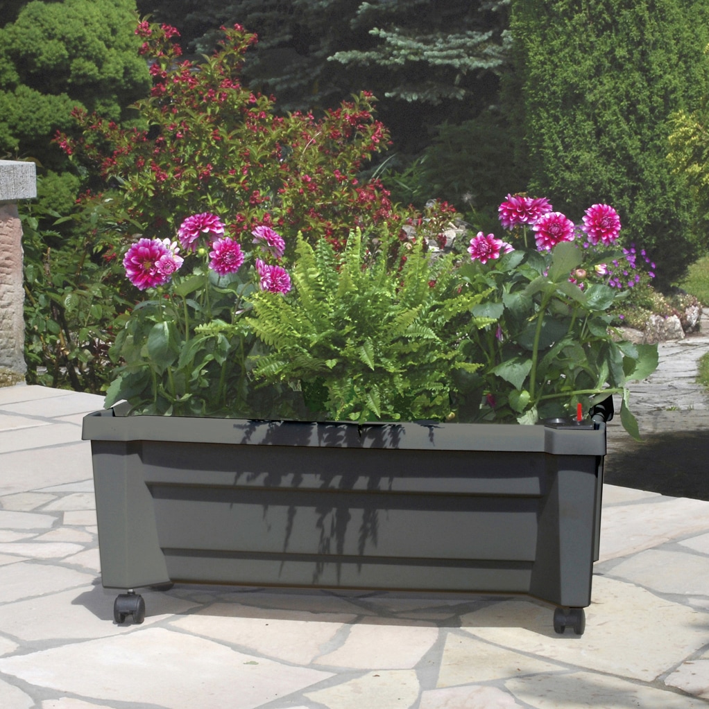 KHW Spalier »Calypso«, BxTxH: 79x35x115 cm, Pflanzkasten mit Rollen und Bewässerungssystem