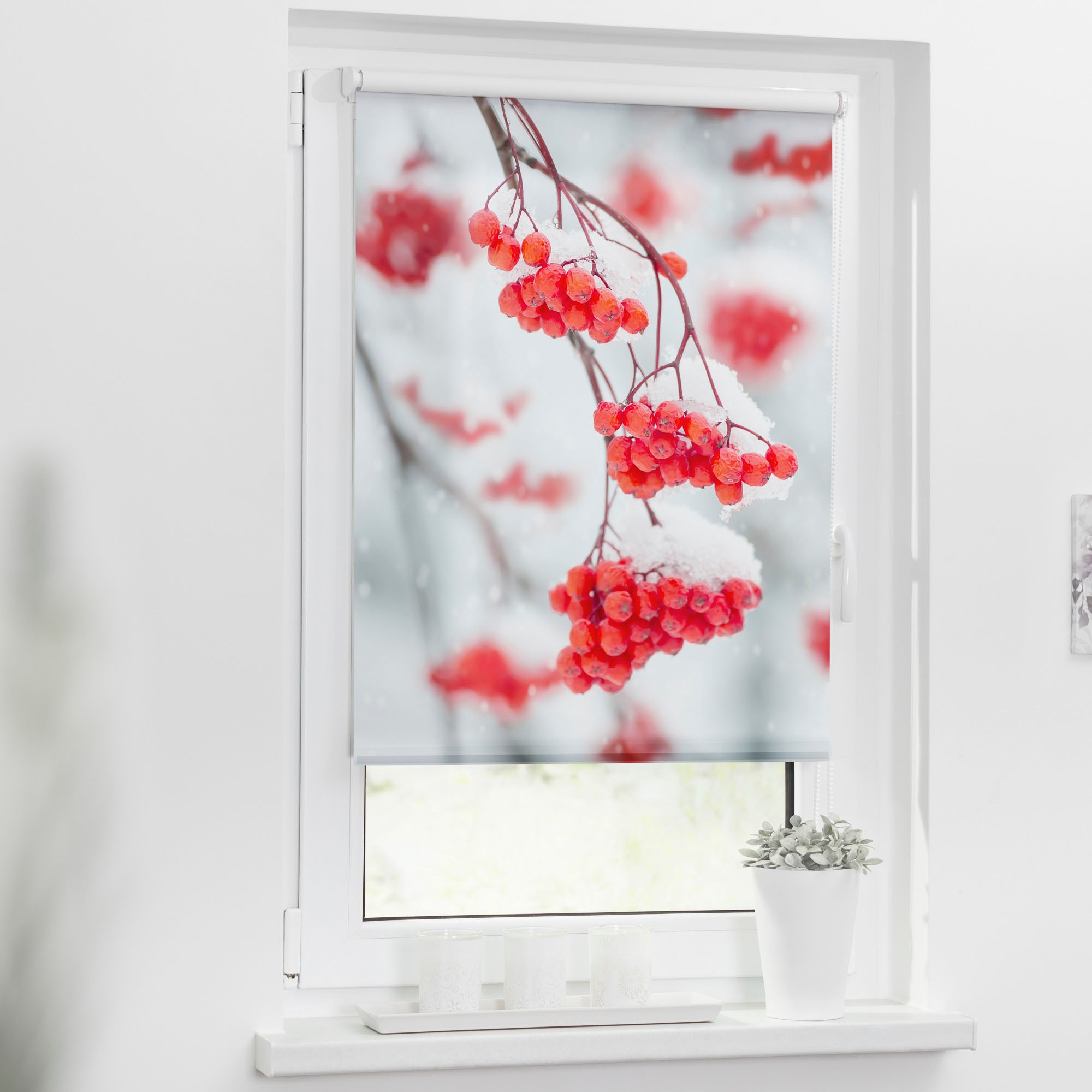 LICHTBLICK ORIGINAL Seitenzugrollo »Klemmfix Motiv Vogelbeeren«, Lichtschut günstig online kaufen