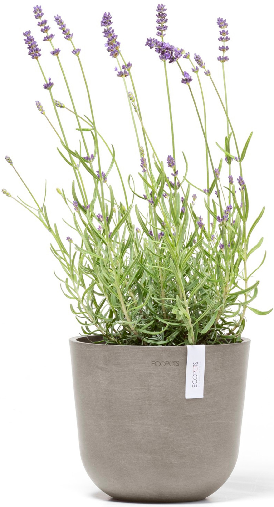 ECOPOTS Blumentopf »Oslo 19 Taupe«, für den Innenbereich