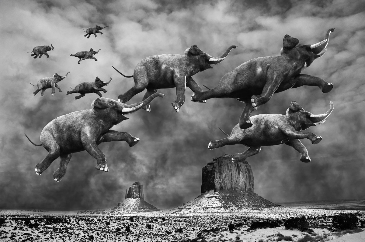 Papermoon Fototapete »Surreale fliegende Elefanten«