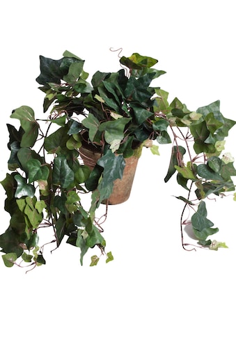 Künstliche Zimmerpflanze »Efeuhängebusch«