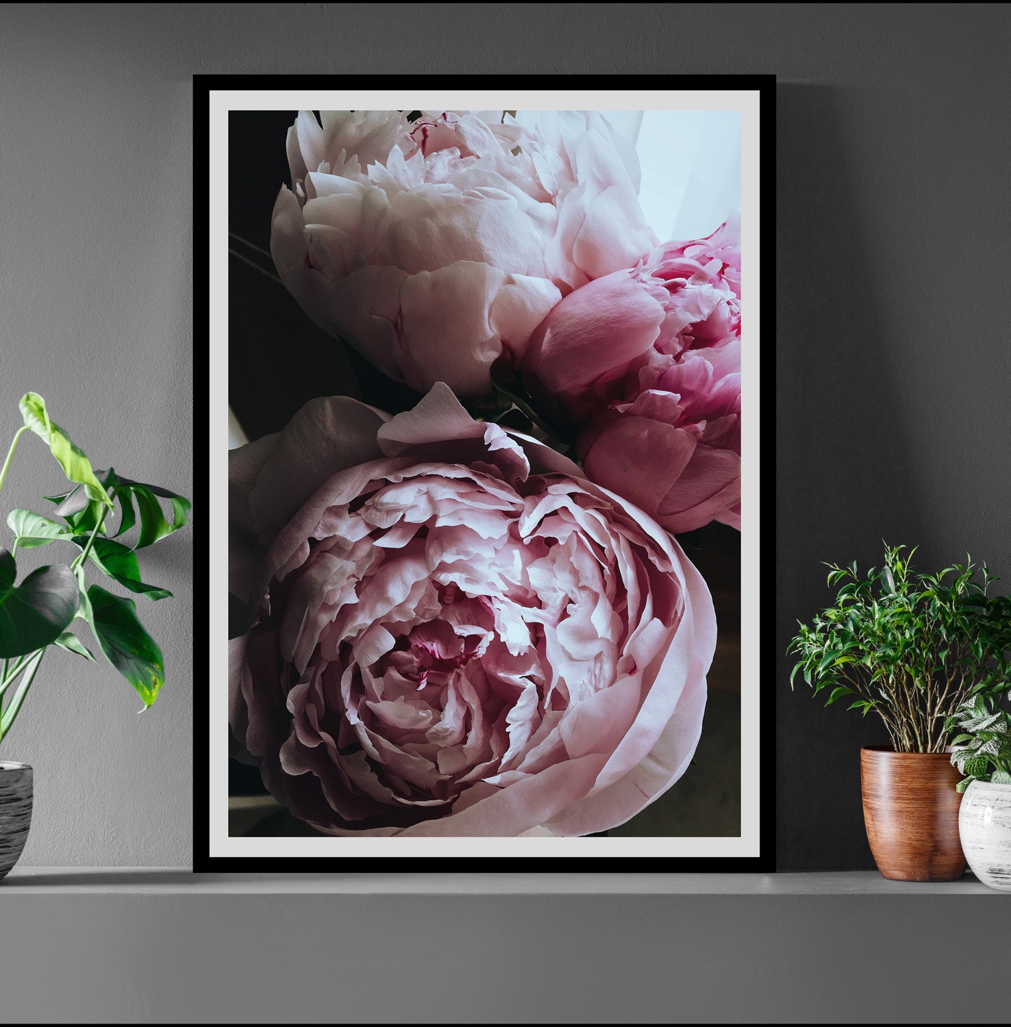 queence Bild »Ursula«, Blumen, Rosen, gerahmt günstig online kaufen