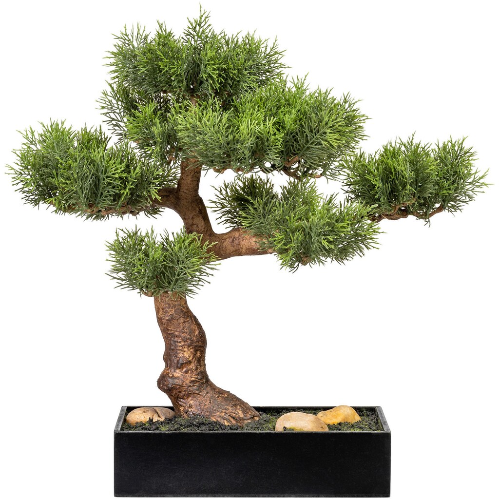 Home affaire Kunstbonsai »Manaurie«