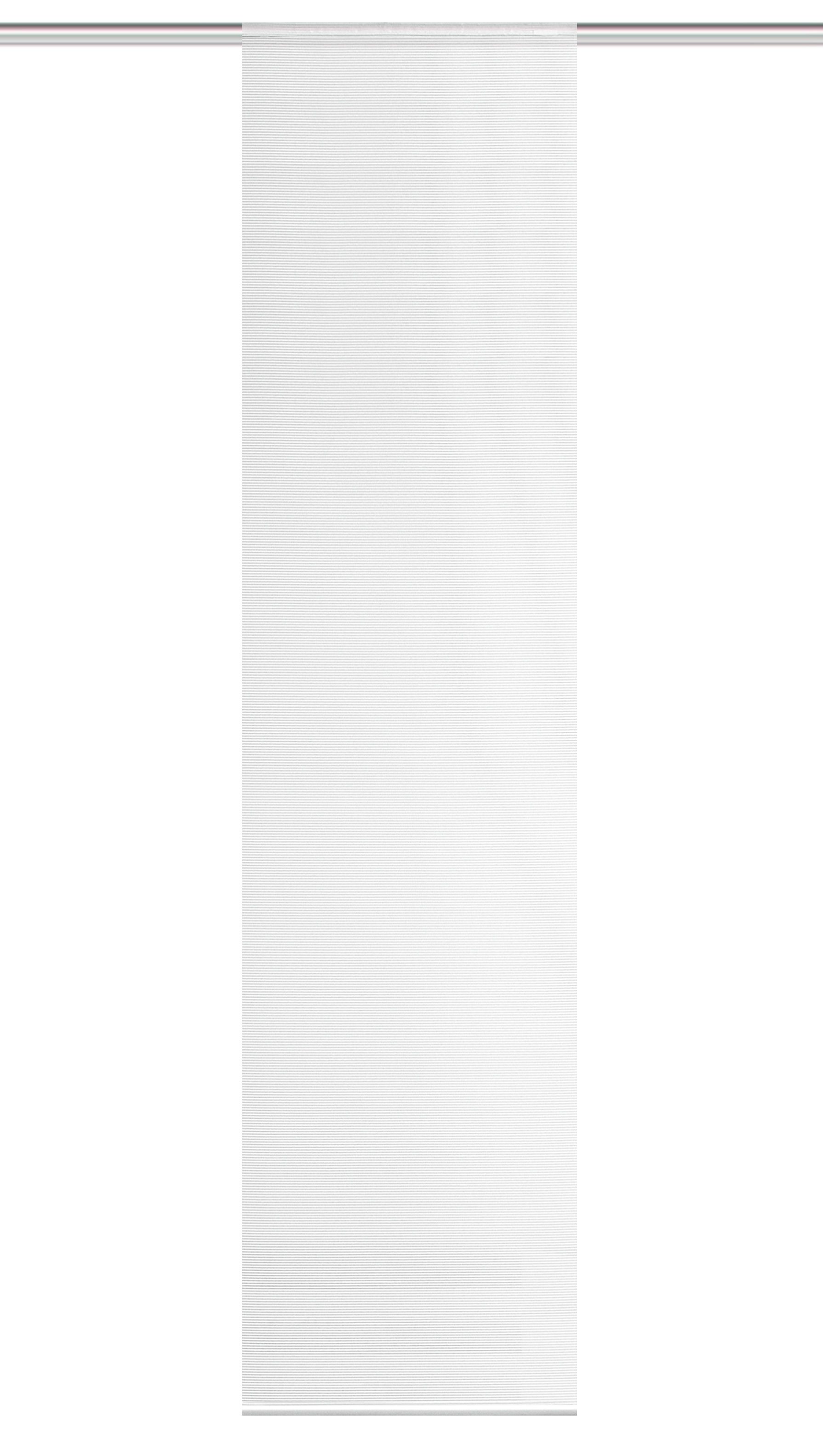 Vision S Schiebegardine »ROM« Paneelwagen 1 Stk. tlg. Schiebevorhang, Uni, Bambus