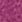 fuchsia fuchsia