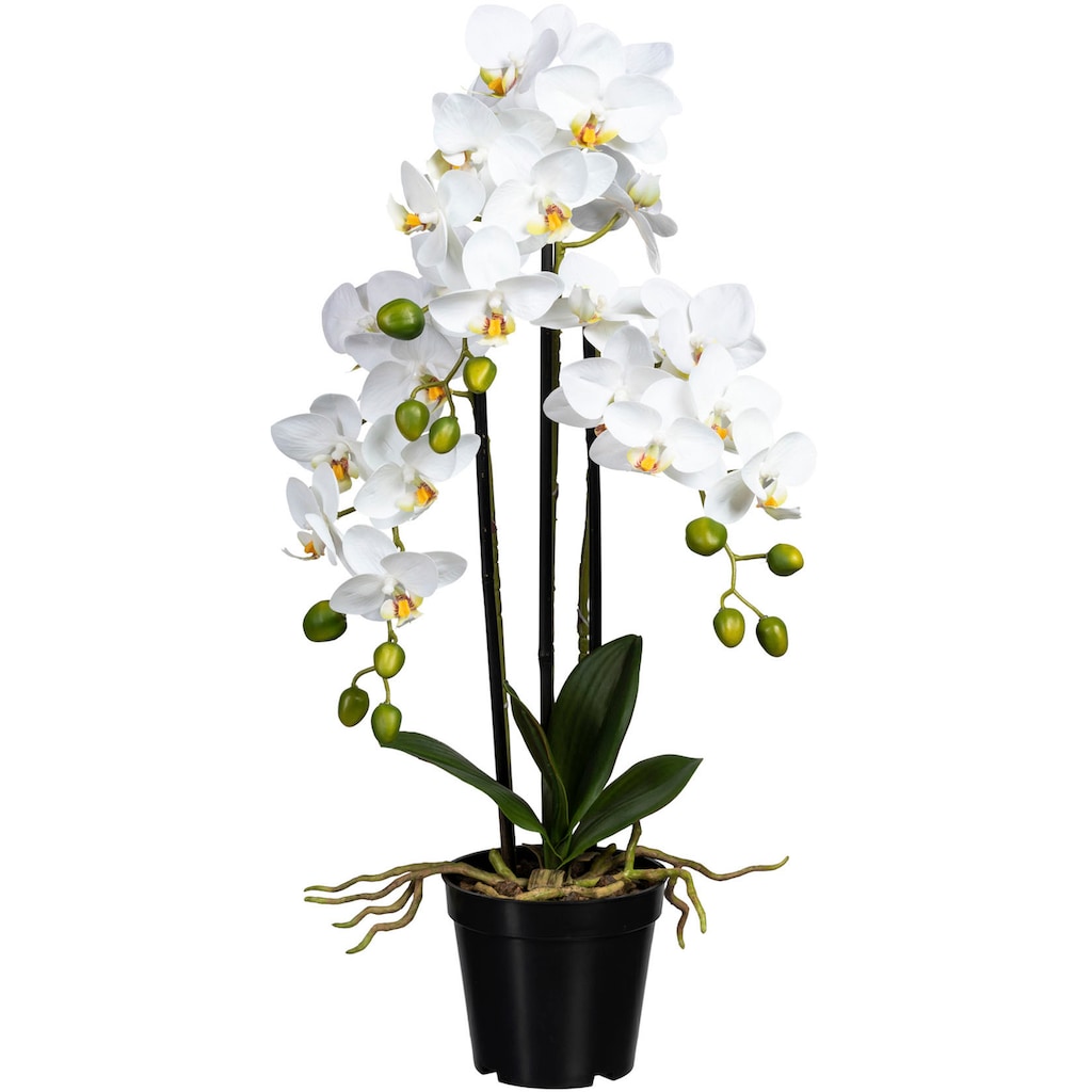 Creativ green Kunstorchidee »Phalaenopsis«