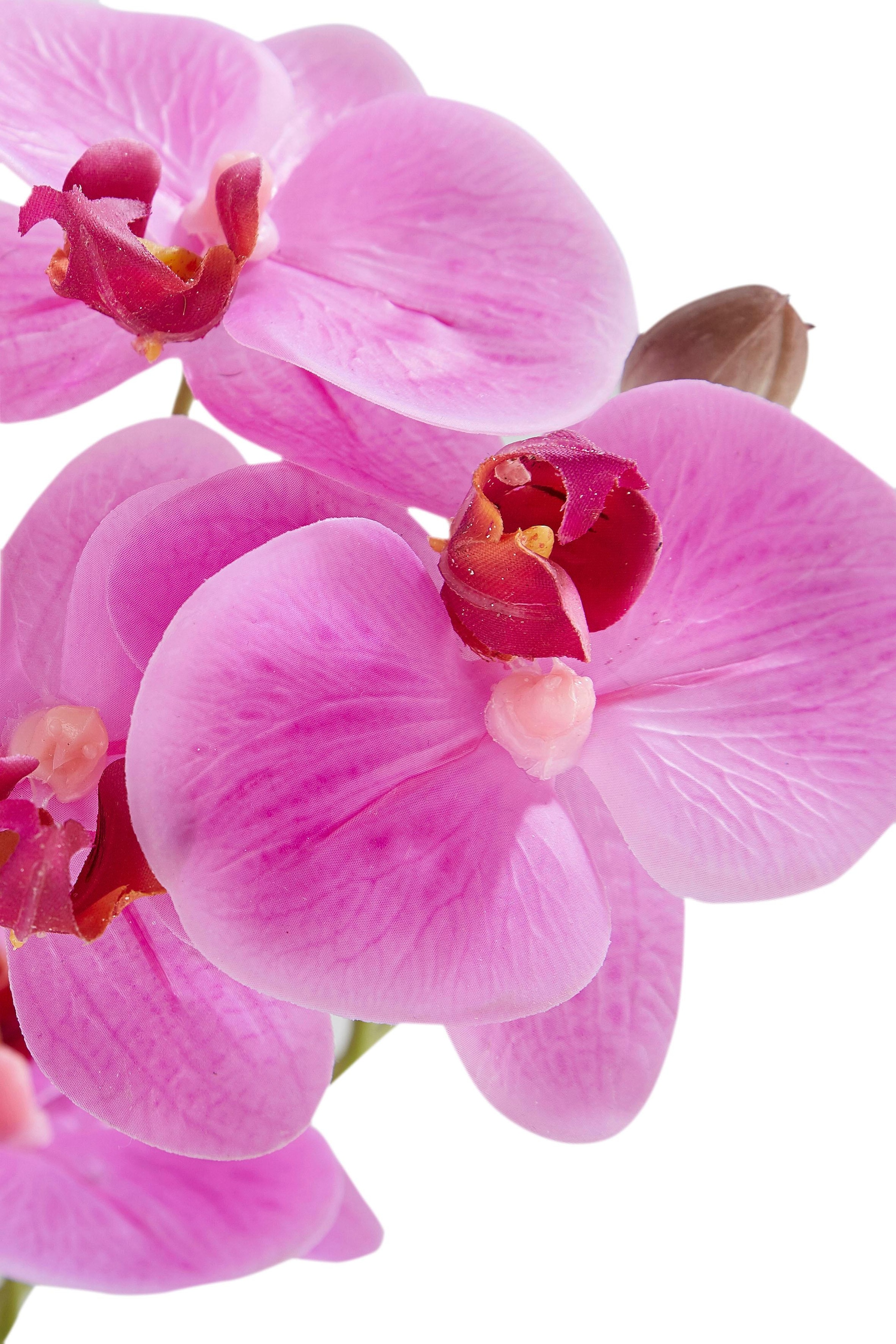 Leonique Kunstpflanze »Orchidee«, Kunstorchidee, im Topf, Bestseller, über 2500 4,5-Sterne-Bewertungen