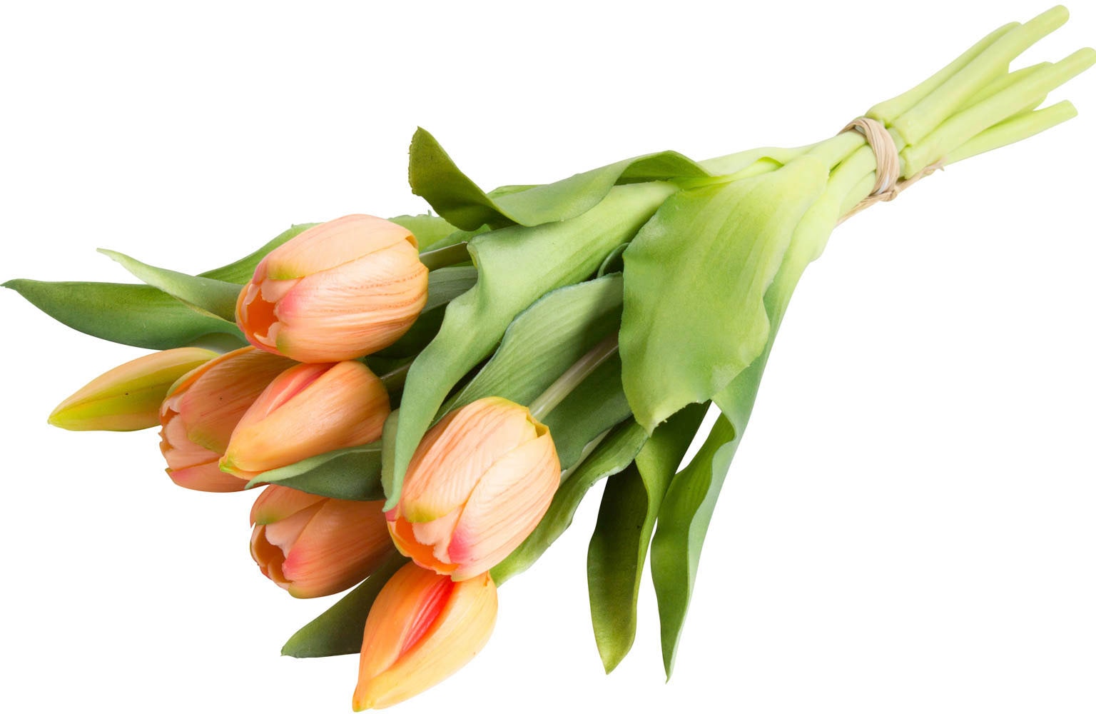Botanic-Haus Kunstblume »Willa«, Tulpenbündel im 7er-Set