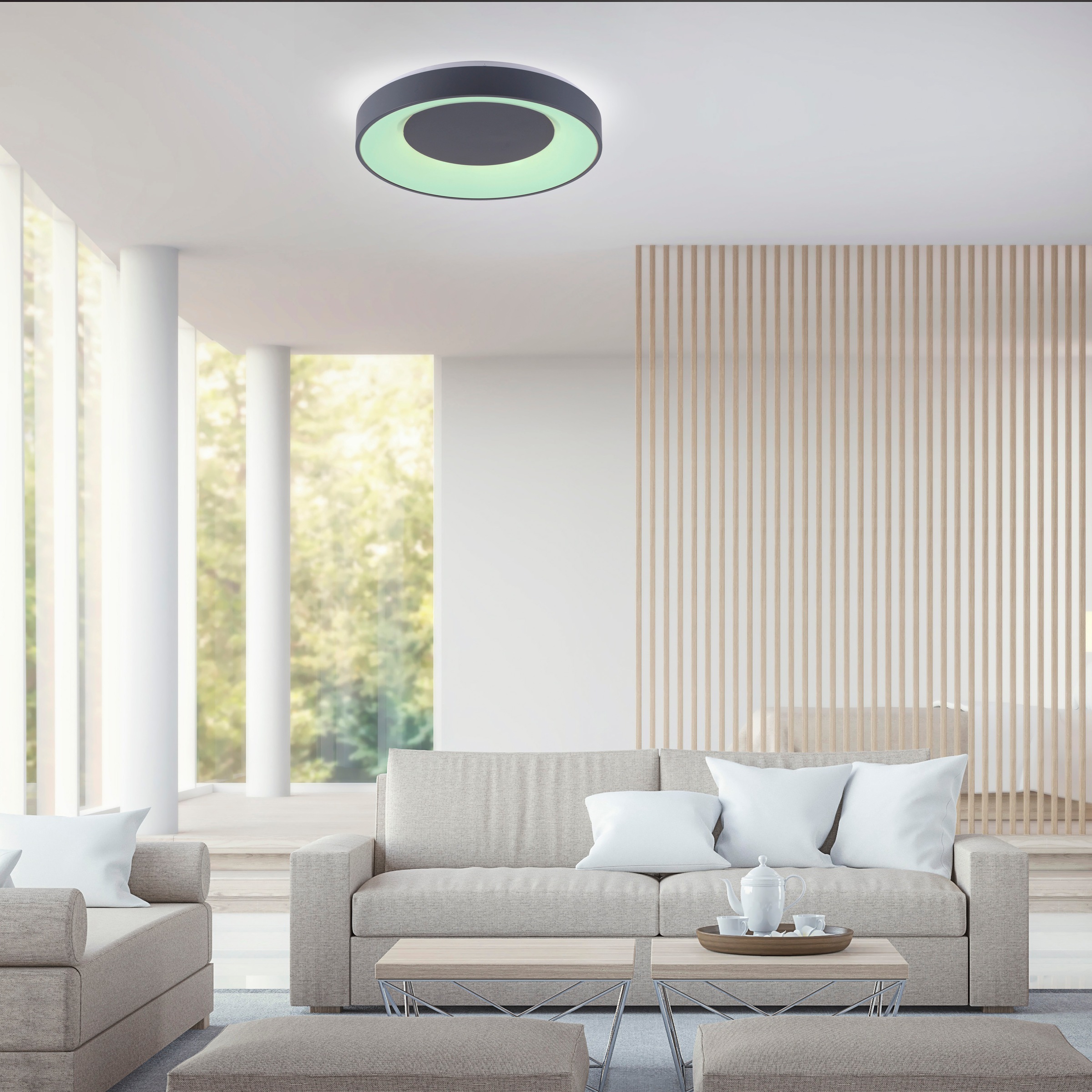 JUST LIGHT Deckenleuchte »Ls-ANIKA«, 1 flammig, Leuchtmittel LED-Board | LED fest integriert, RGB+tunable white, Infrarot inkl., Fernbedienung, Smarthome fähig