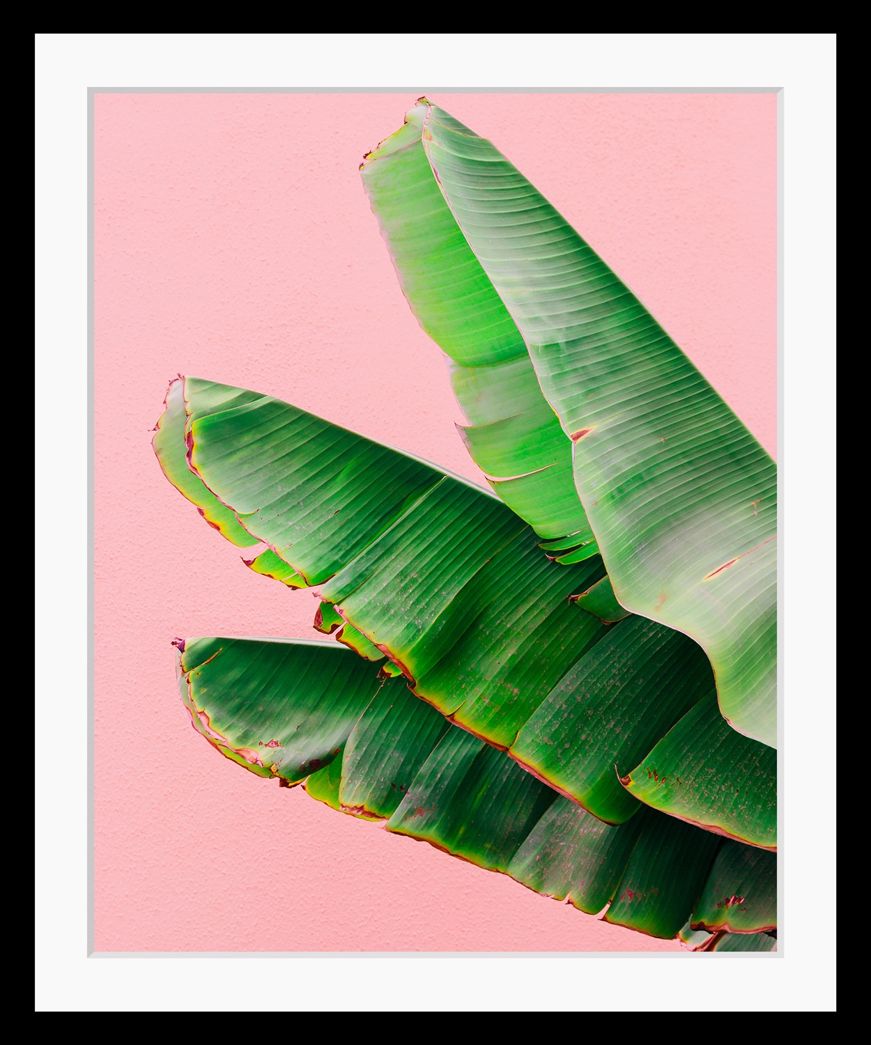 queence Bild »Greta«, HD Premium Poster-Druck inkl. Holzrahmen günstig online kaufen