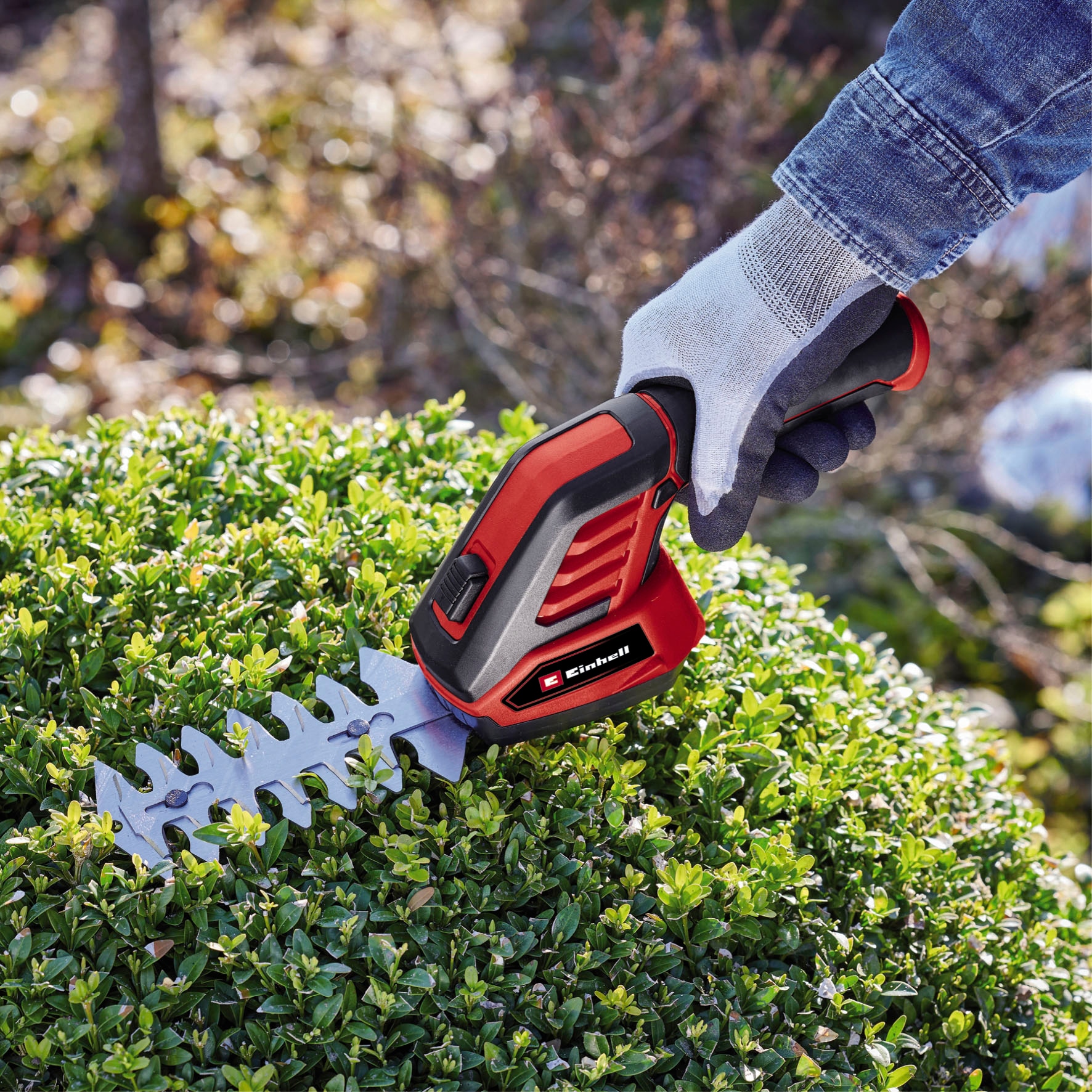 Einhell Akku-Gras- und Strauchscherenset »GC-CG 3,6/70 Li WT GC-CG 3,6/70 Li WT«, mit Akku 3,6V/2Ah und Ladekabel