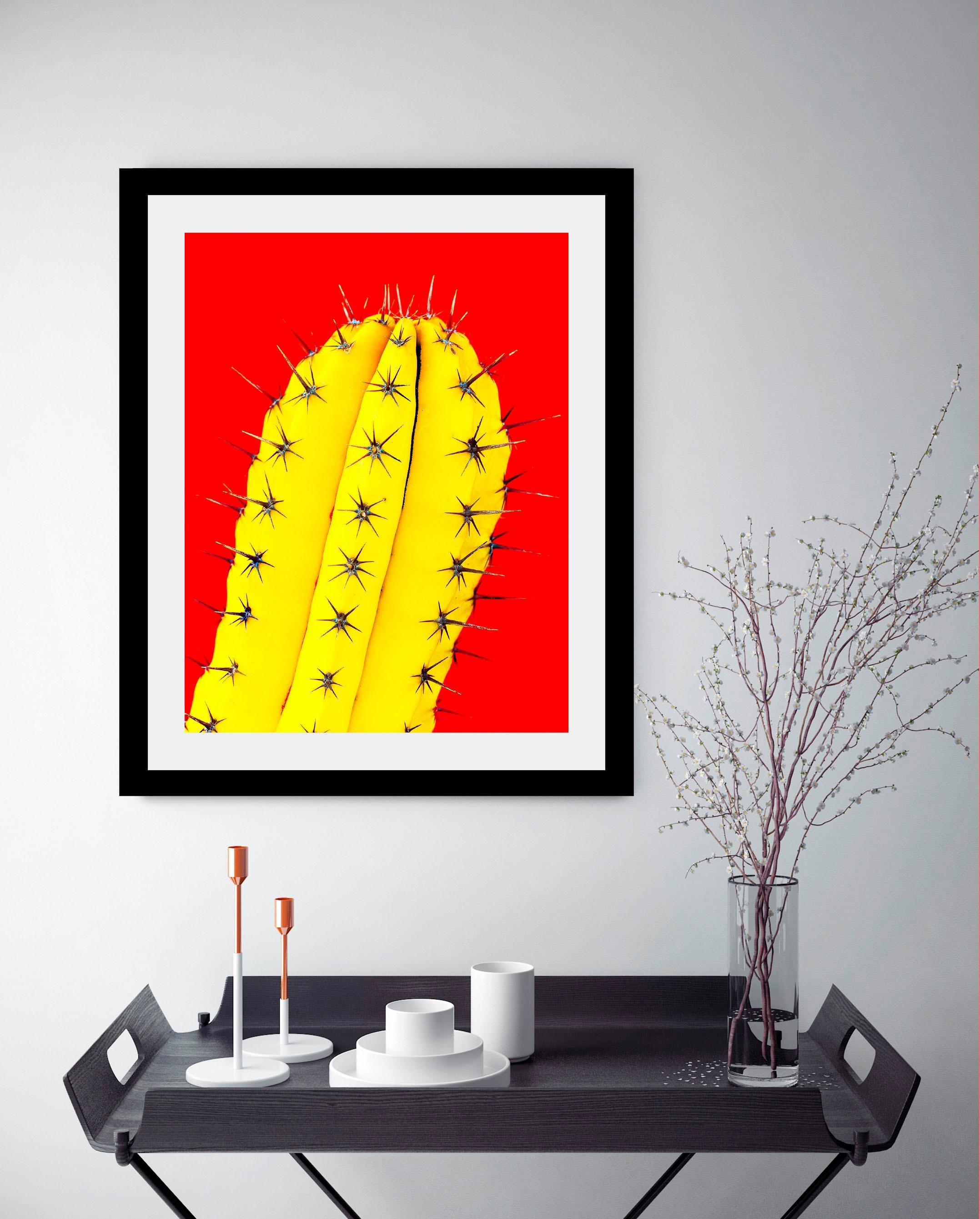 queence Bild »Kaktus«, Kunst-Pflanzen-Foto-Pflanzenbilder, HD Premium Poste günstig online kaufen