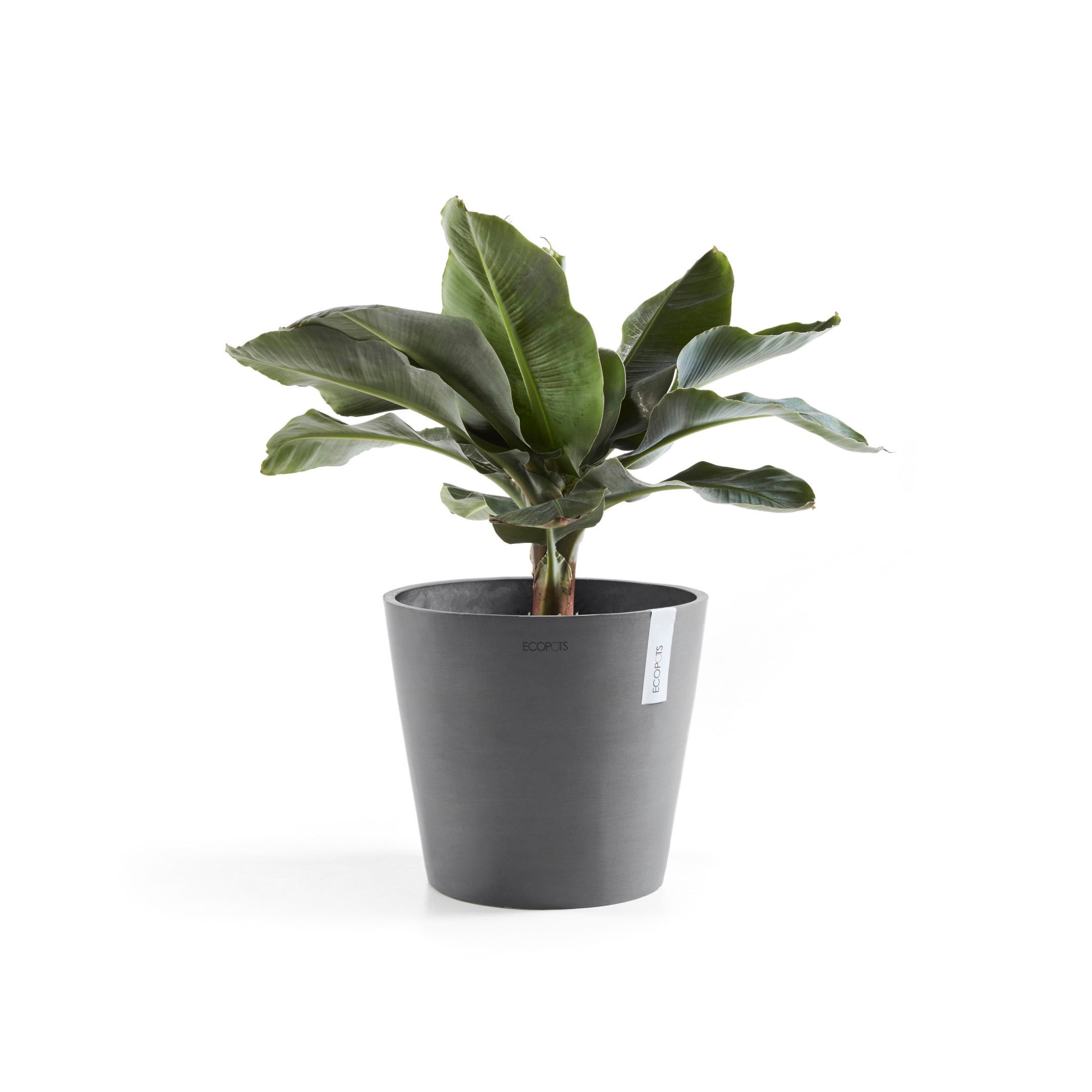 ECOPOTS Blumentopf »Amsterdam«, ØxH: 40x35 cm
