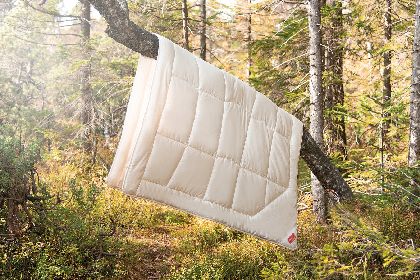 Hefel Naturfaserbettdecke »Bio-Timber« leicht 1 Stk. tlg. günstig online kaufen