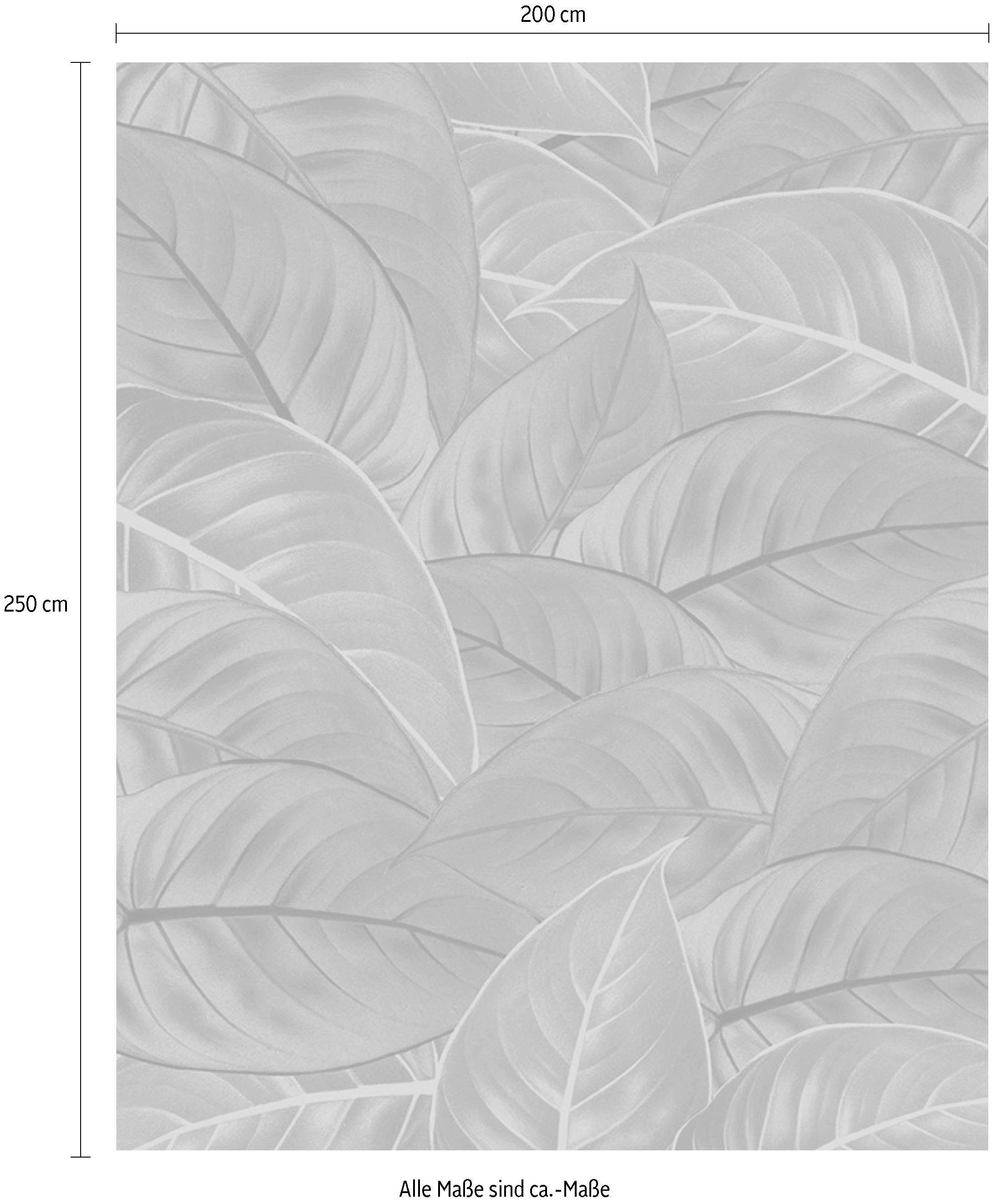 Komar Vliestapete »Digitaldruck Vlies -  Jungle Leaves - Größe 200 x 250 cm« bedruckt glatt Wohnzimmer, Schlafzimmer