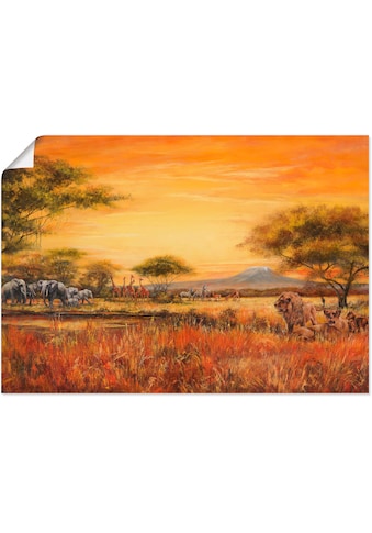 Artland Wandbild »Afrikanische Steppe mit Löwen«, Afrika, (1 St.), in vielen Größen &... kaufen