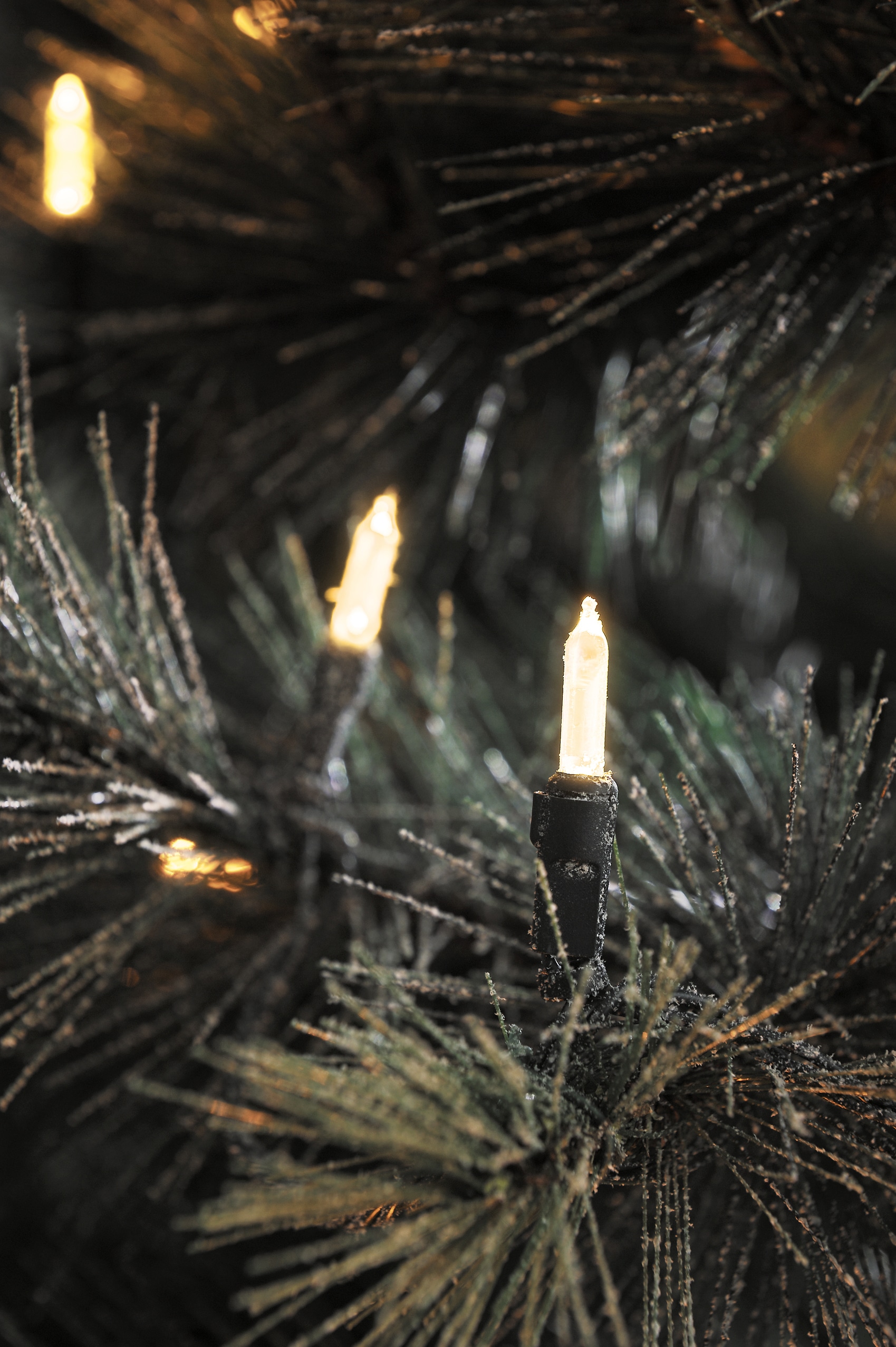 KONSTSMIDE LED-Lichterkette »Weihnachtsdeko aussen«, 40 St.-flammig, LED Minilichterkette, 40 warm weiße Dioden