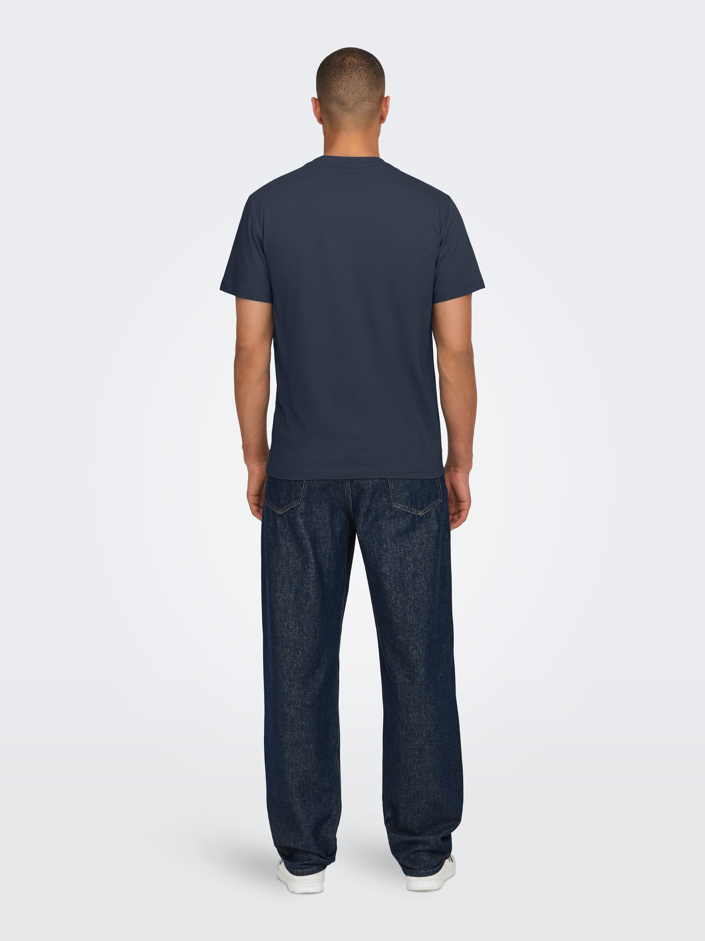 ONLY & SONS Rundhalsshirt »ONSMAX LIFE REG SS STITCH TEE«
