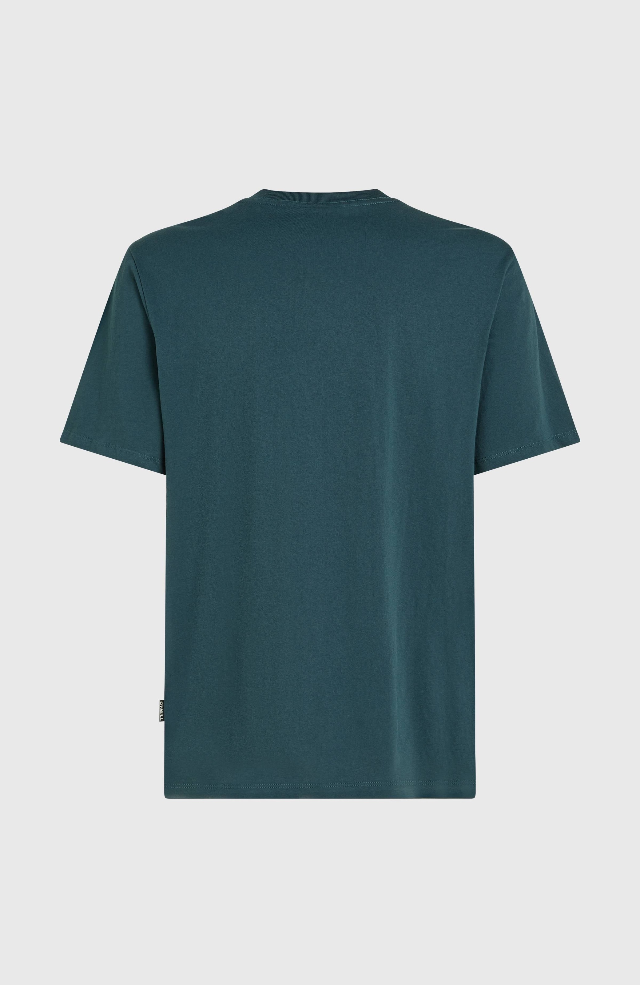 O'Neill T-Shirt »O'NEILL CHEST PRINT T-SHIRT«